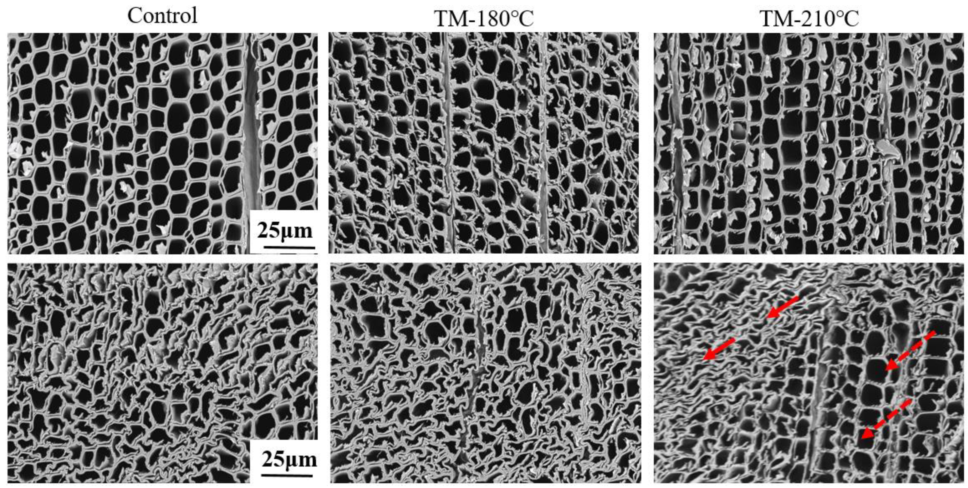 Forests 14 01376 g005