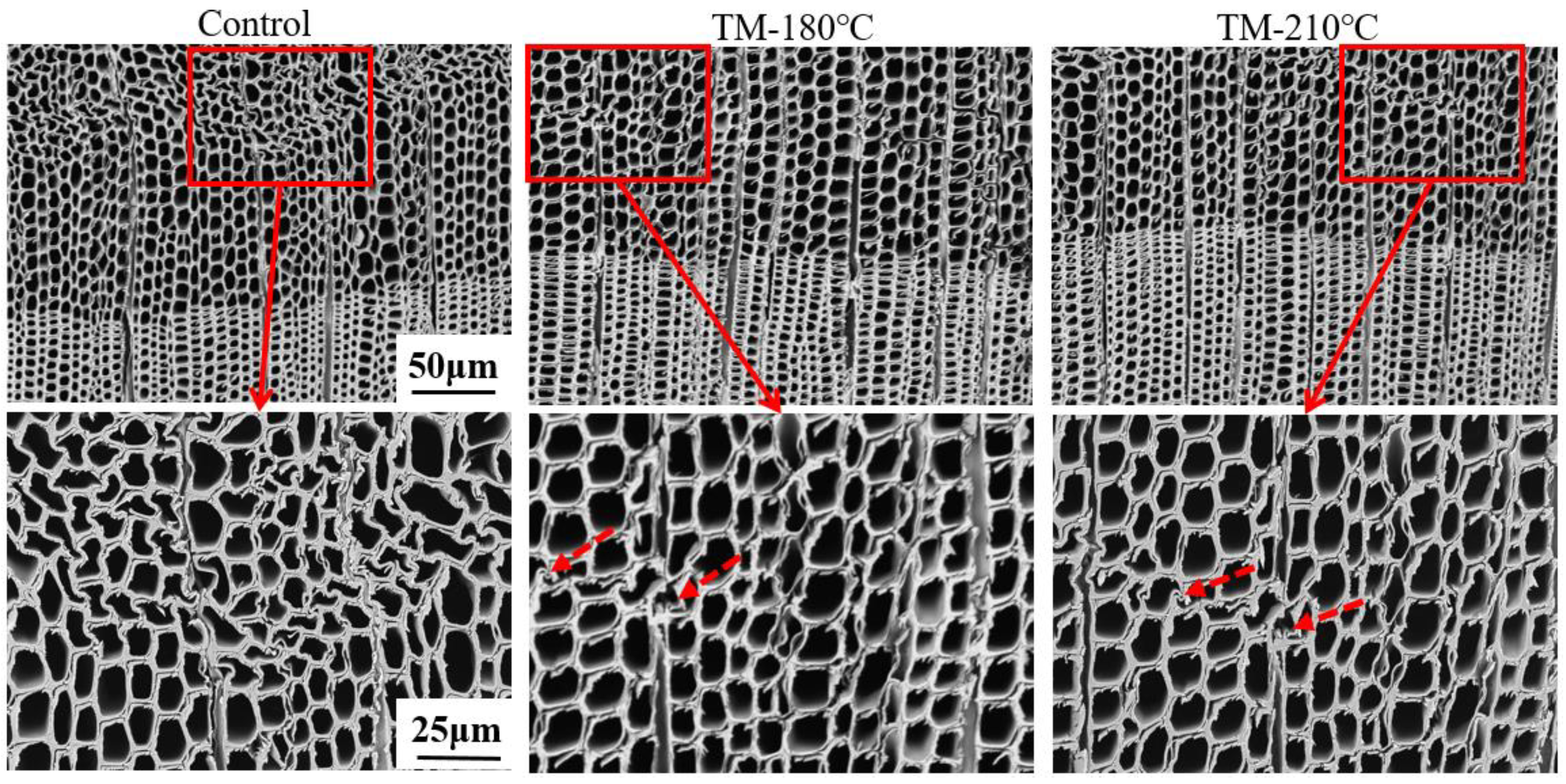 Forests 14 01376 g007