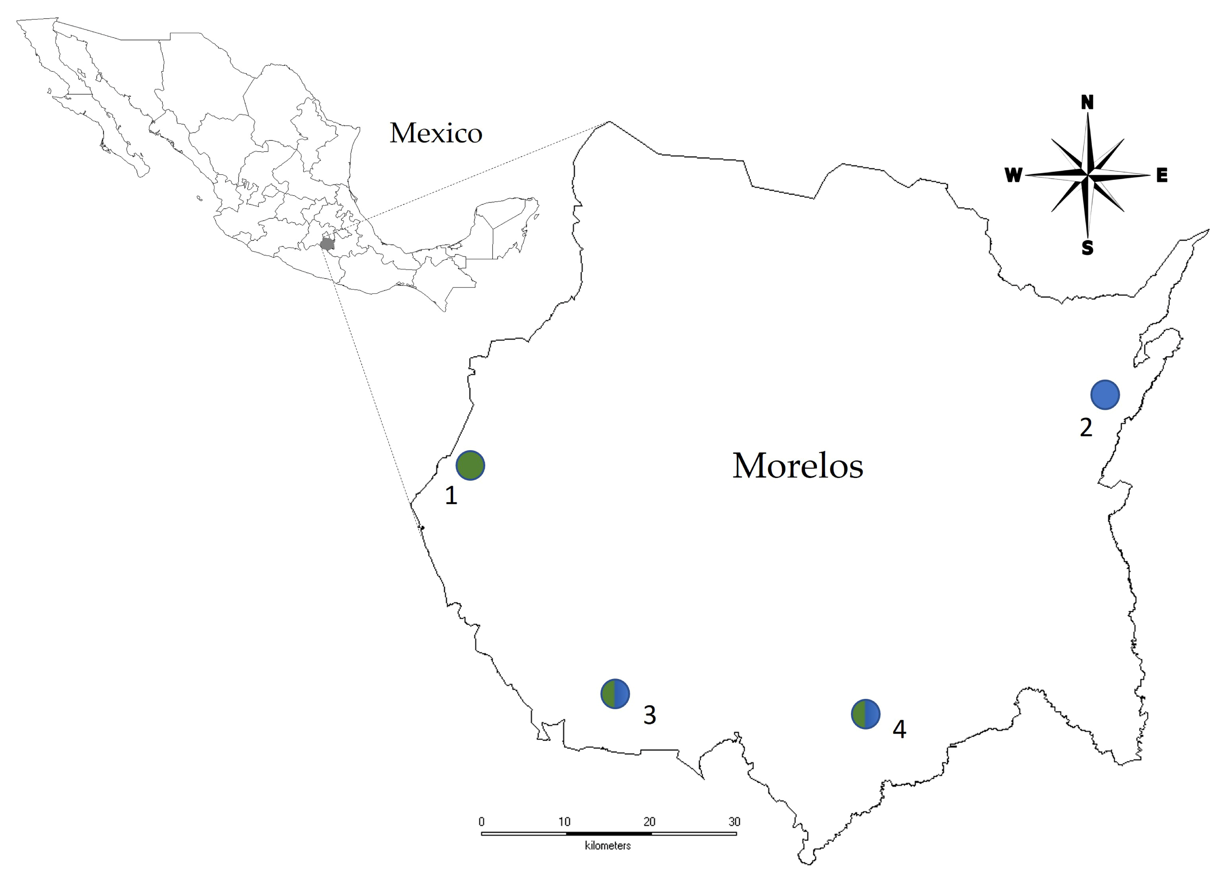 Forests 14 01382 g001