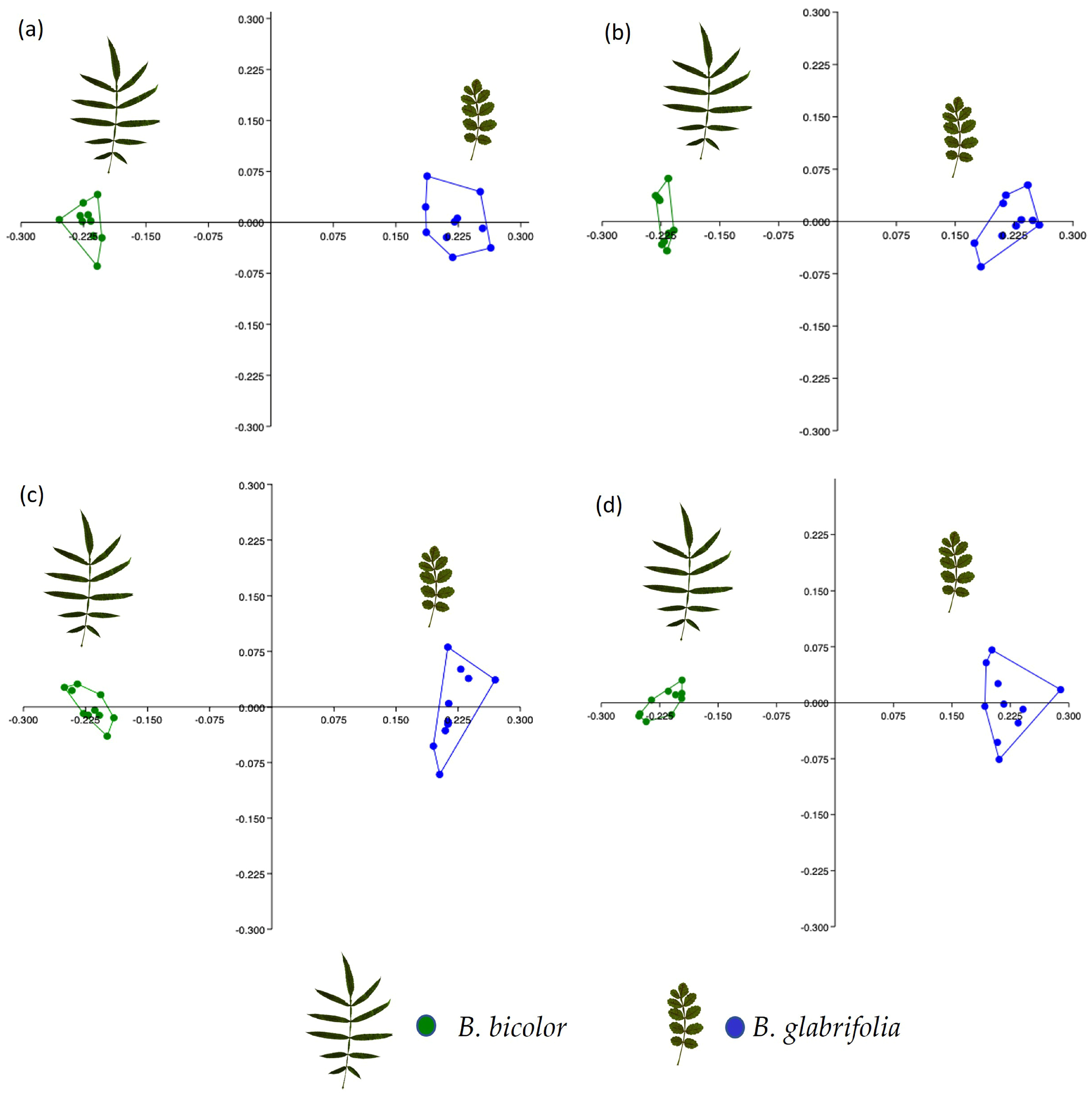Forests 14 01382 g003