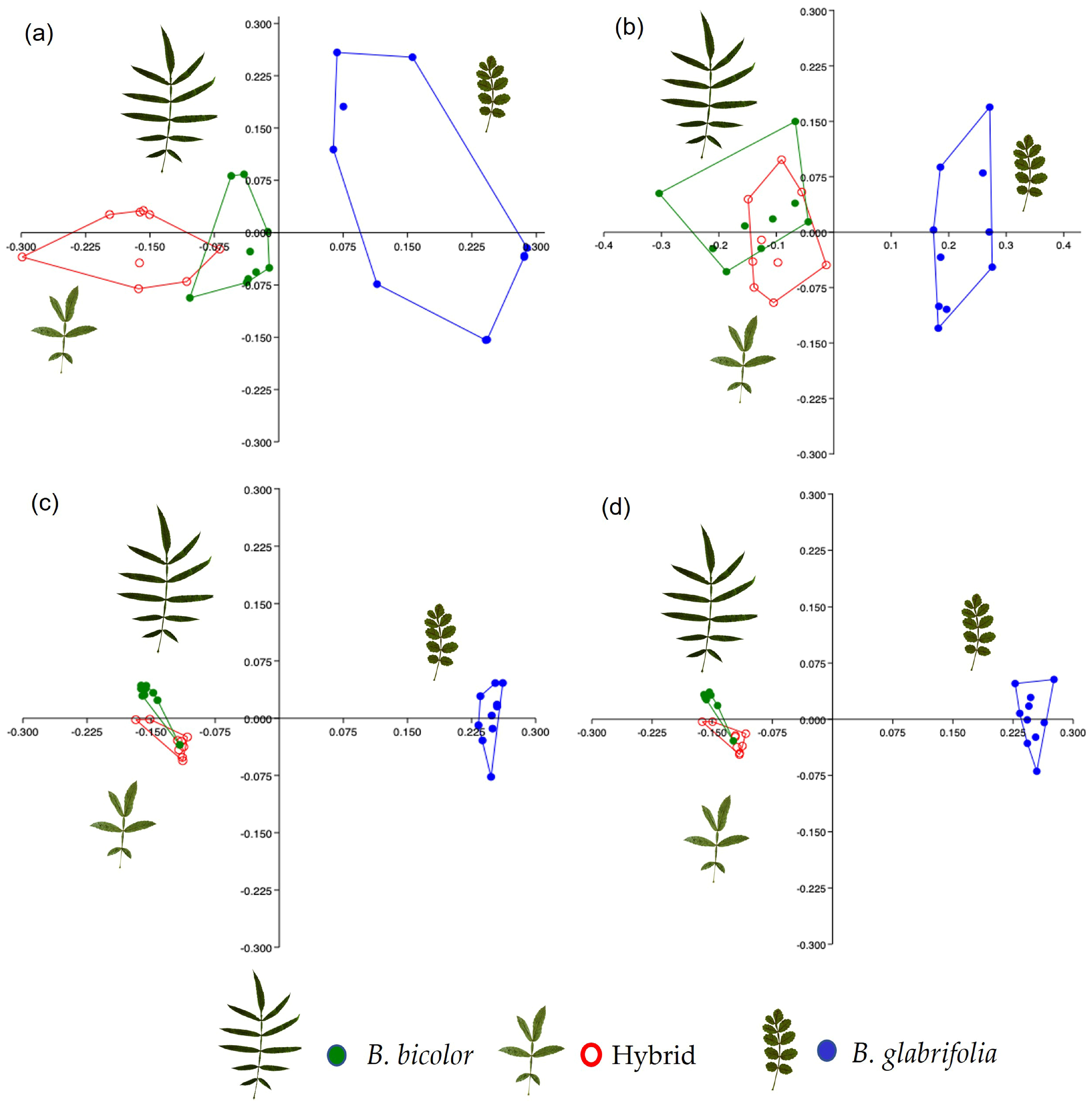 Forests 14 01382 g005