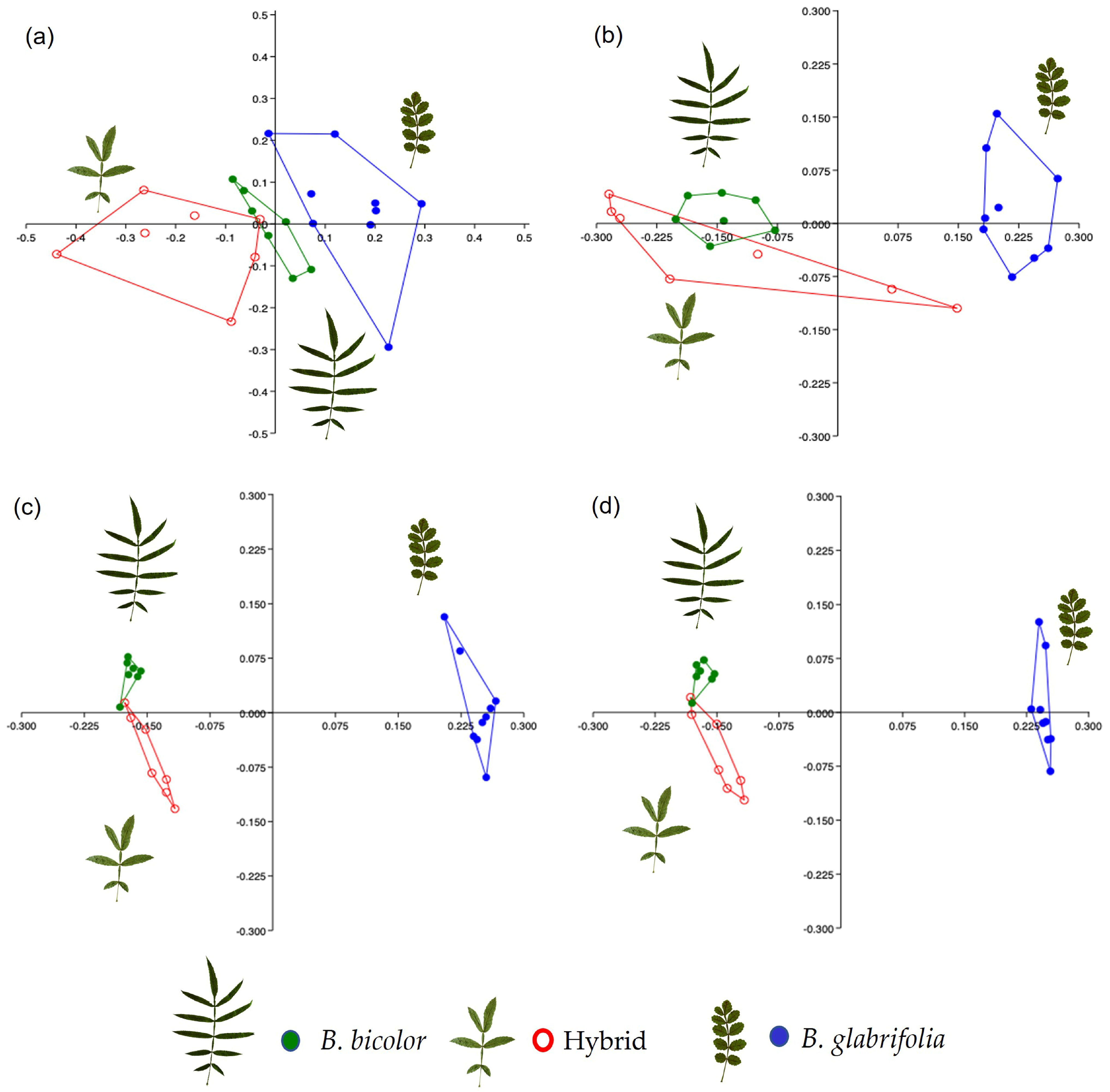 Forests 14 01382 g006