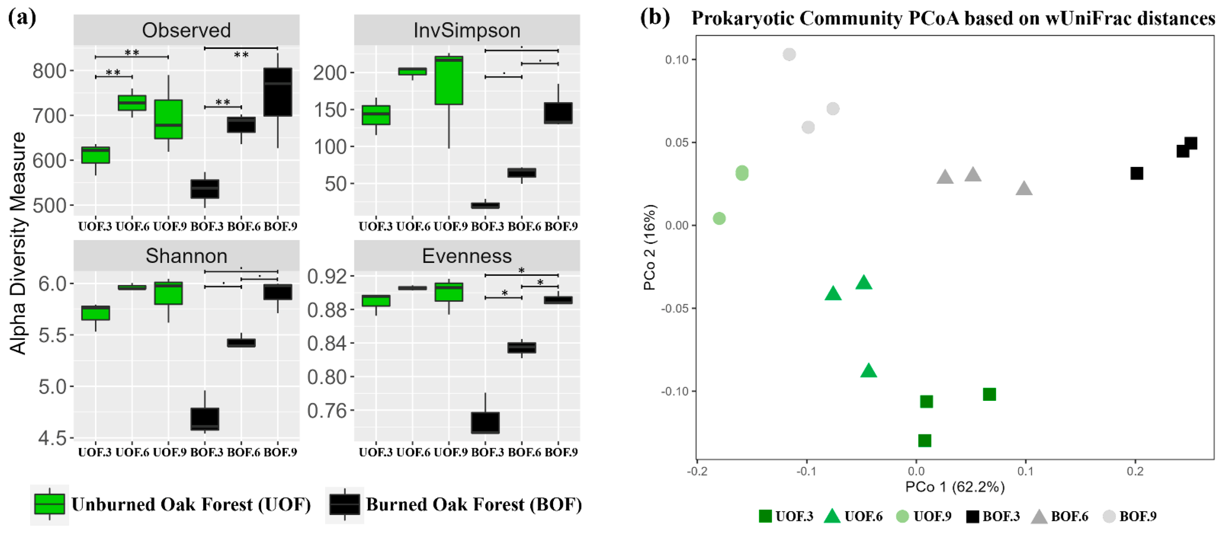Forests 14 01383 g001 Forests 14 01383 g001