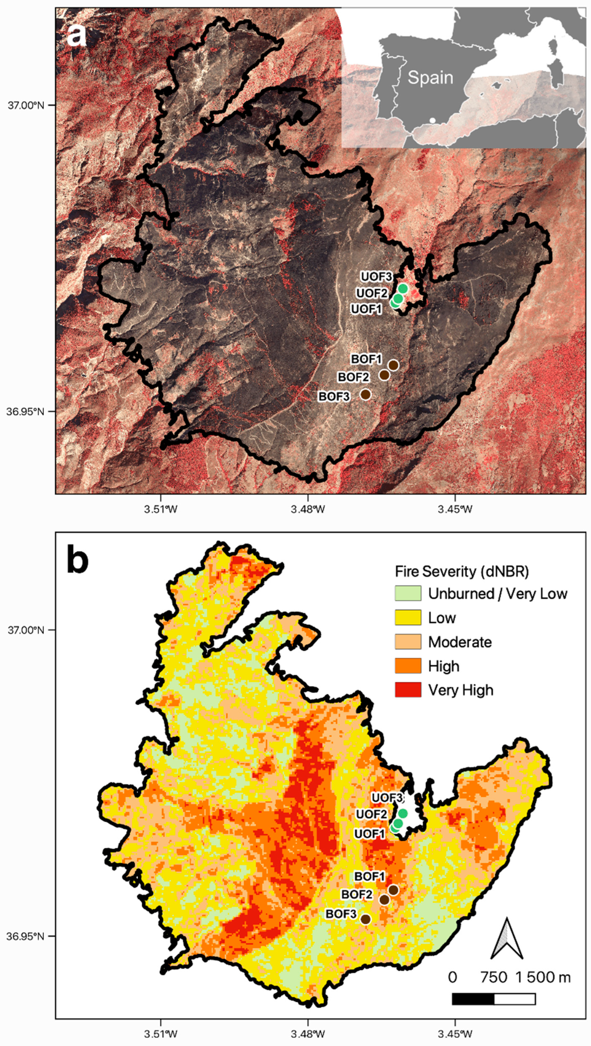 Forests 14 01383 g006 Forests 14 01383 g006