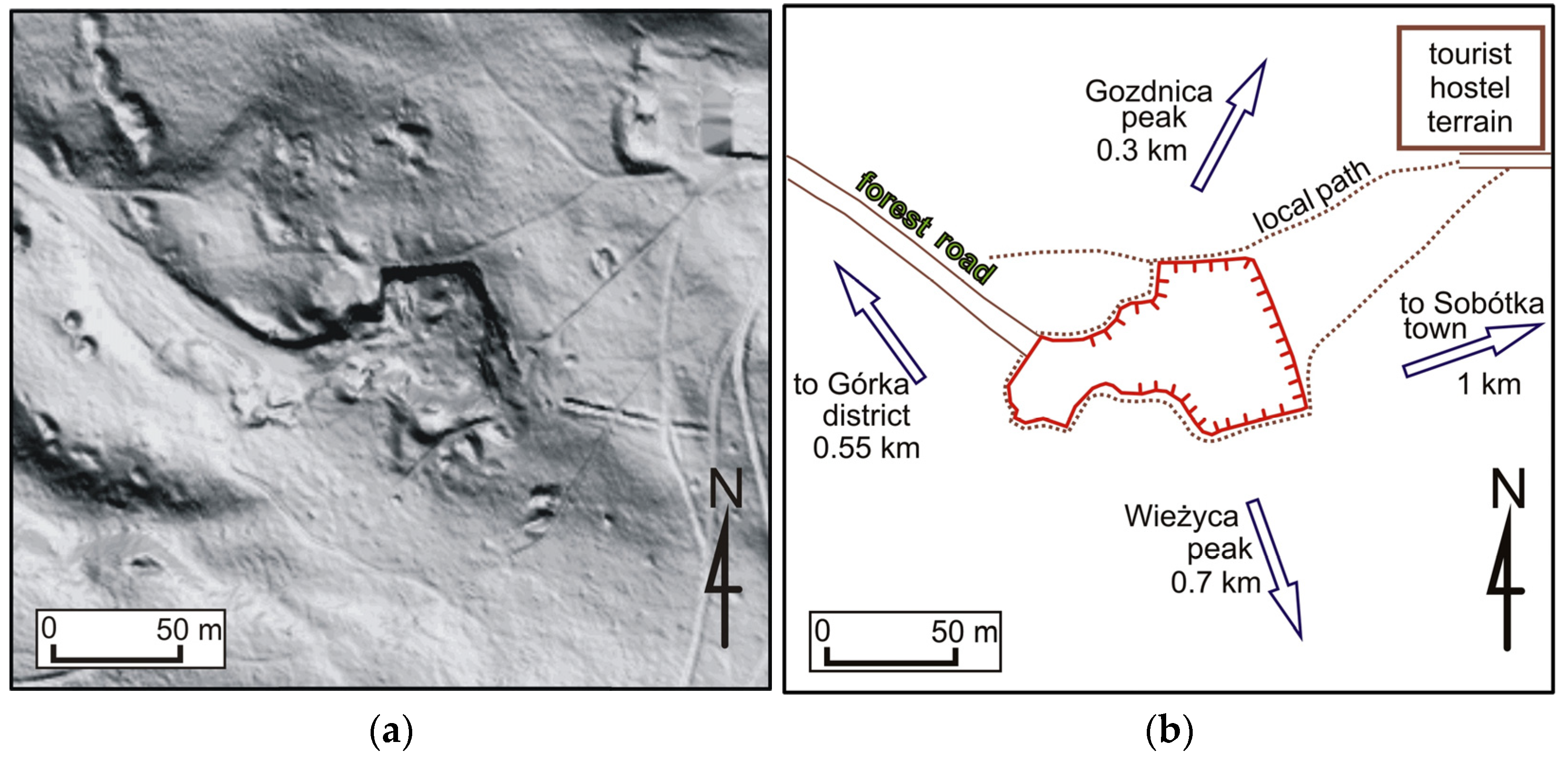 Forests 14 01386 g005 Forests 14 01386 g005