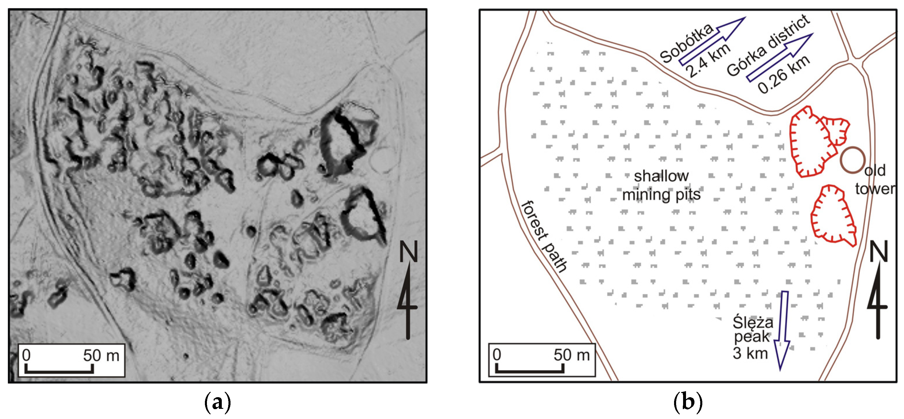 Forests 14 01386 g007a Forests 14 01386 g007a