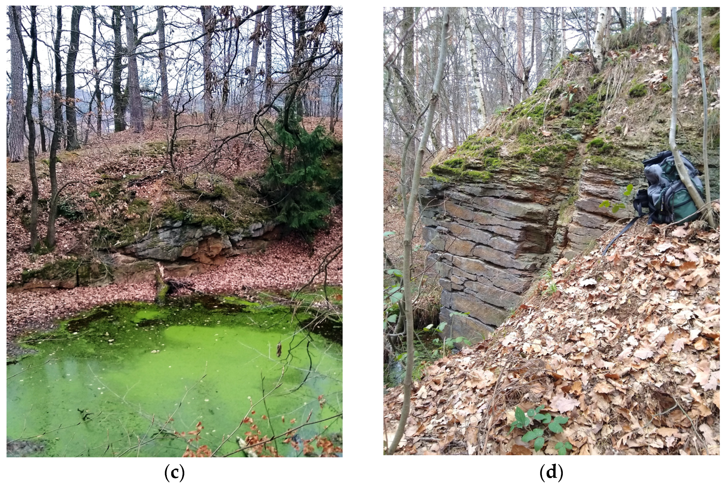 Forests 14 01386 g007b Forests 14 01386 g007b