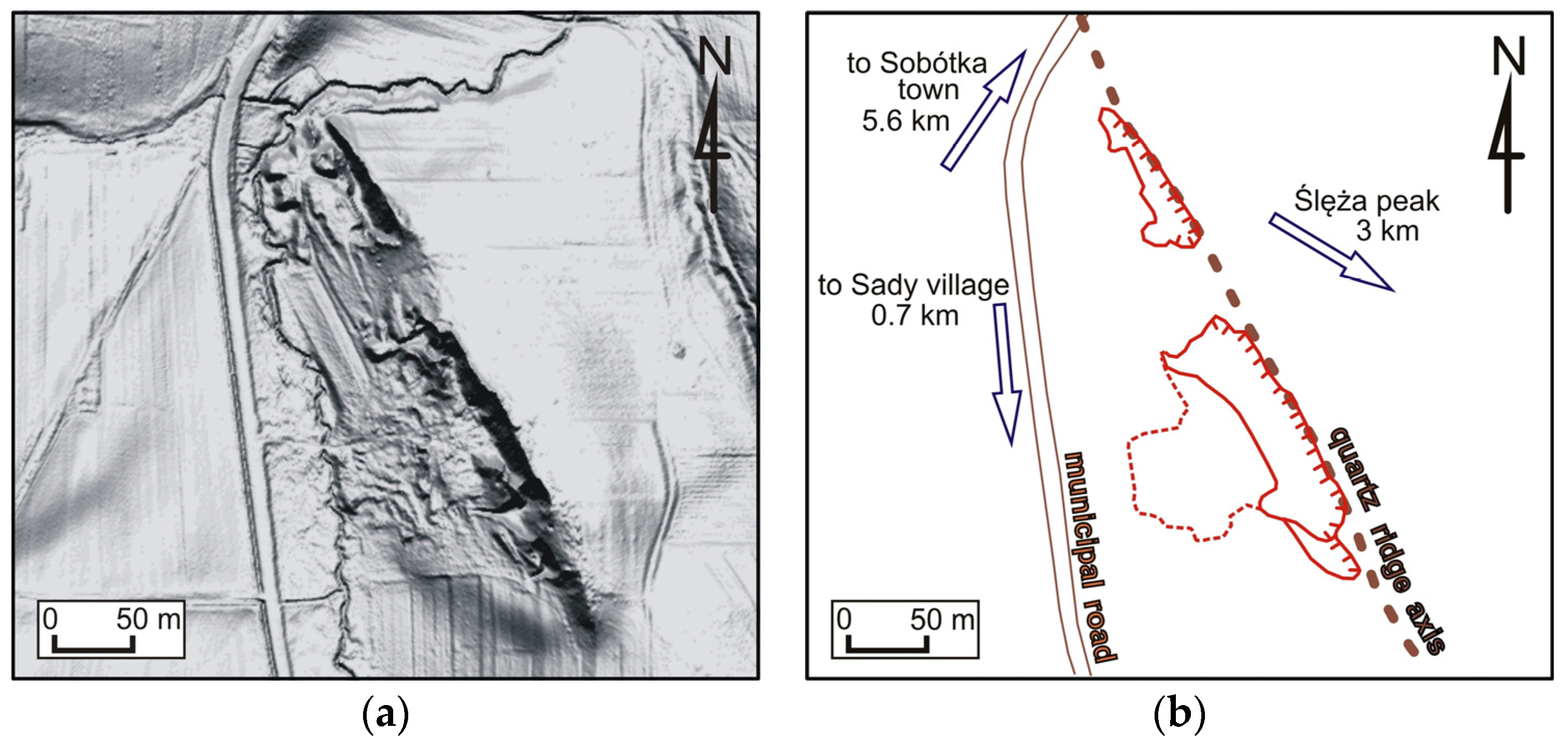Forests 14 01386 g008 Forests 14 01386 g008