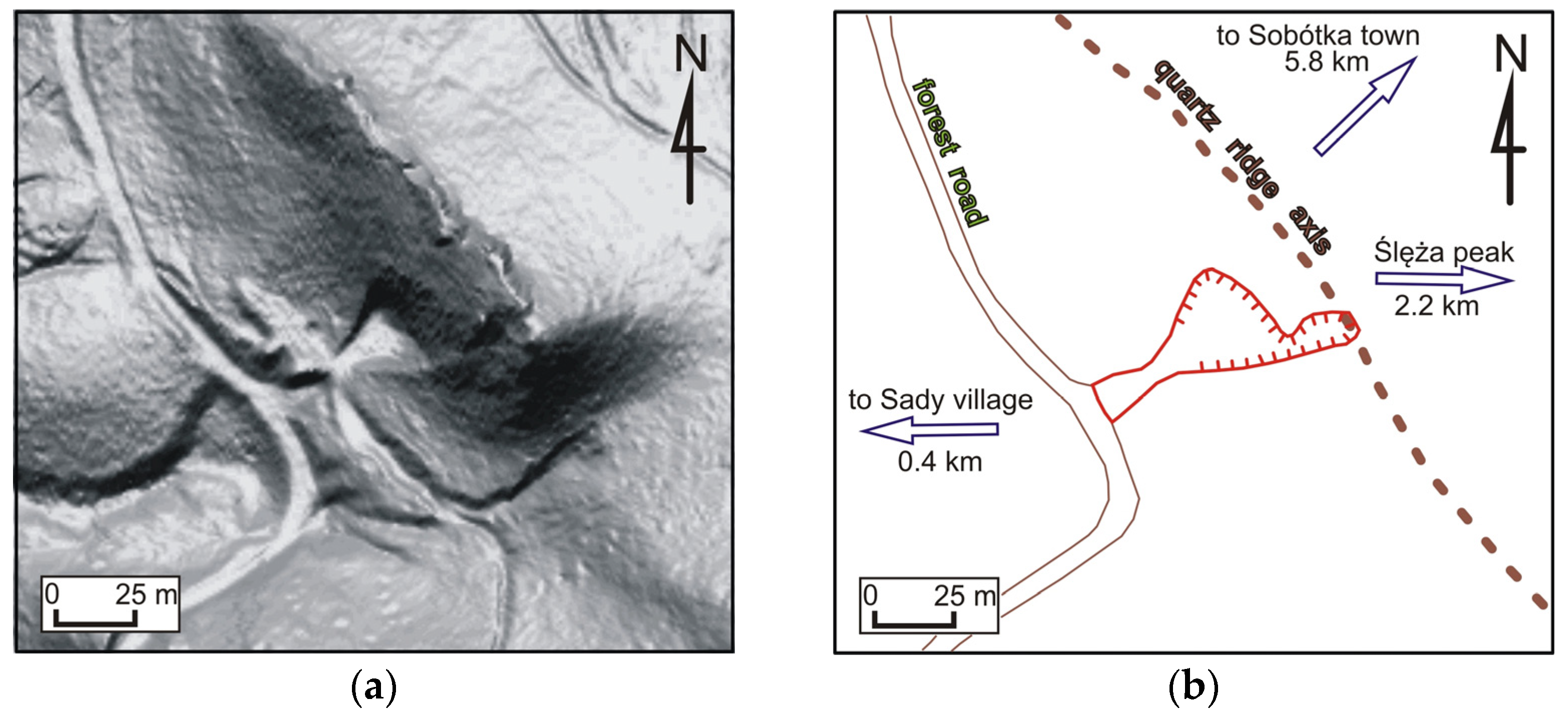 Forests 14 01386 g009 Forests 14 01386 g009