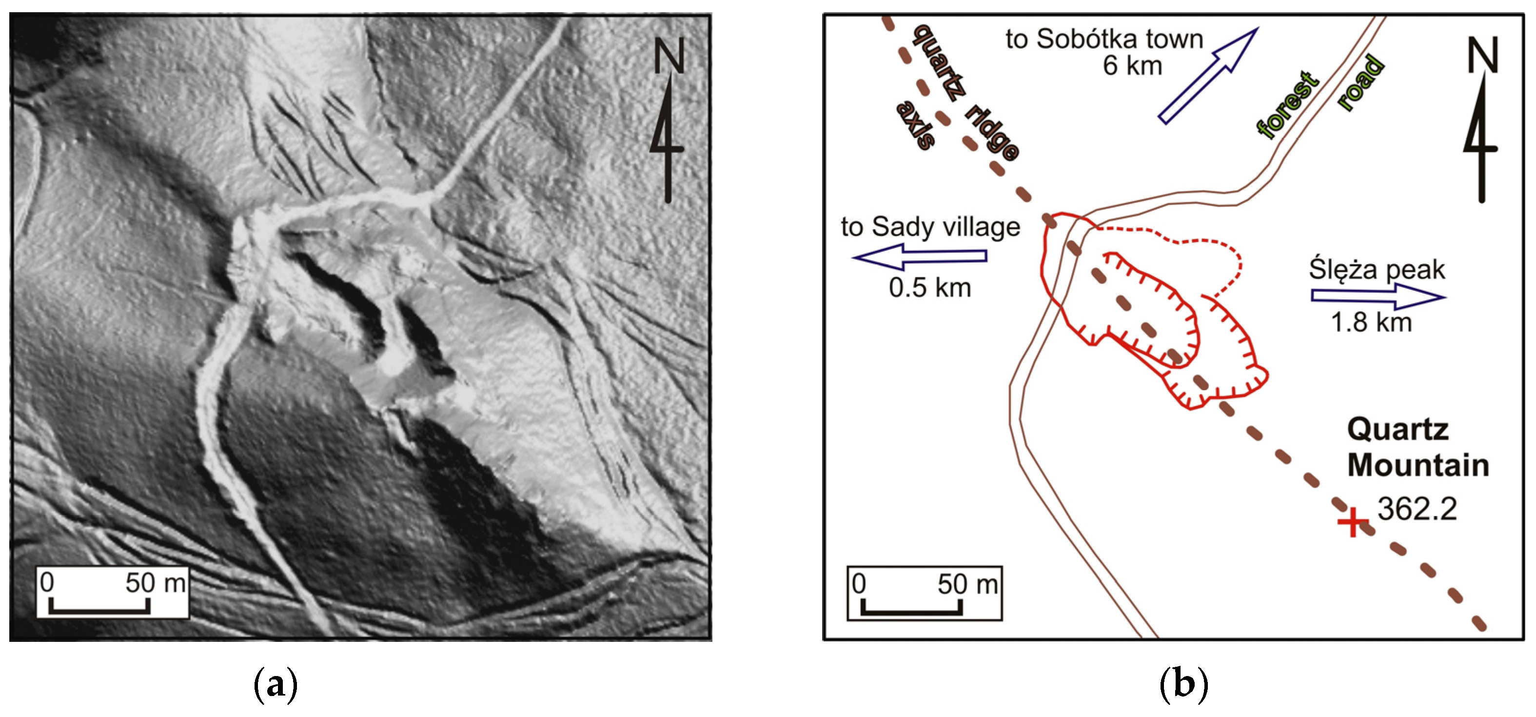 Forests 14 01386 g010a Forests 14 01386 g010a