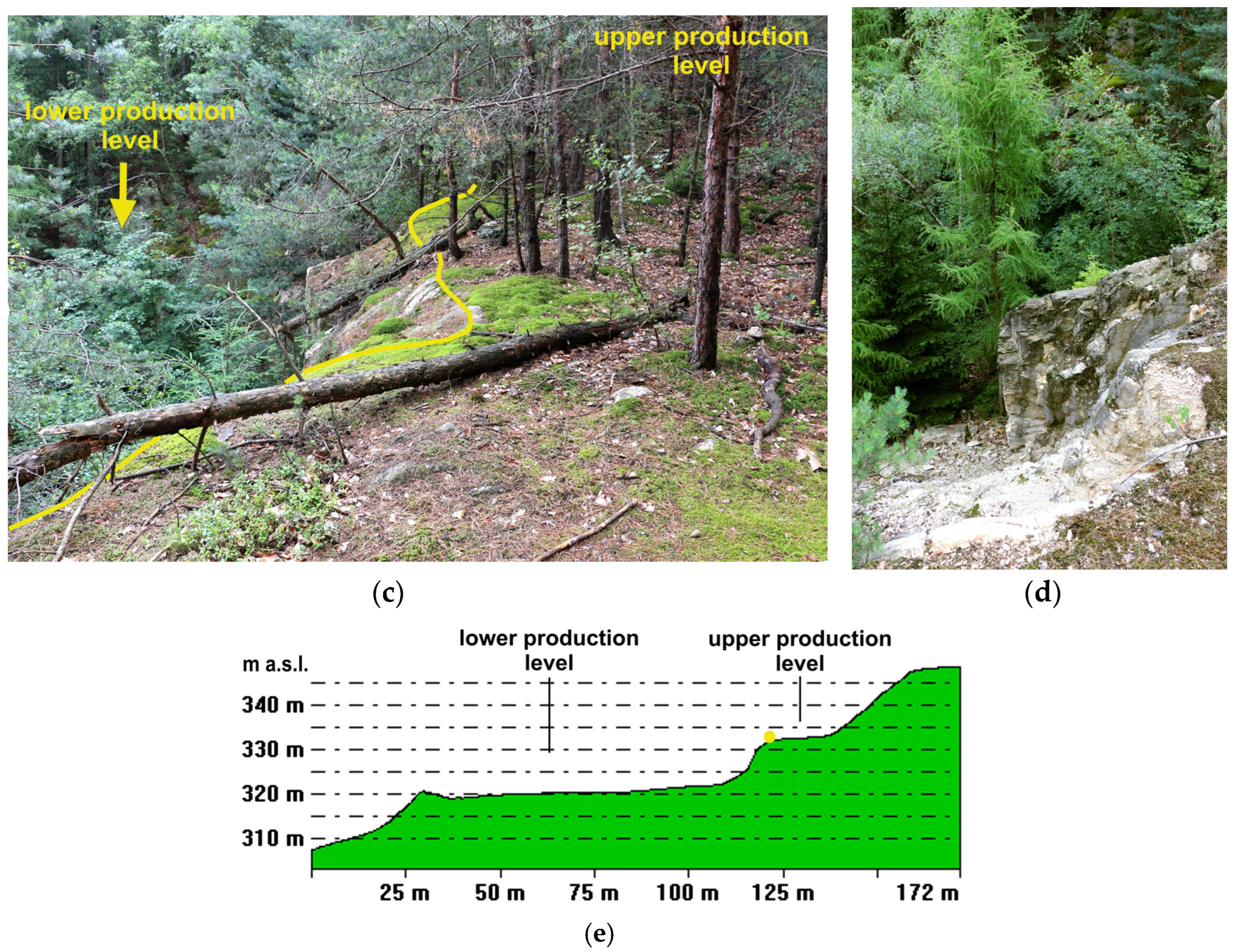 Forests 14 01386 g010b Forests 14 01386 g010b
