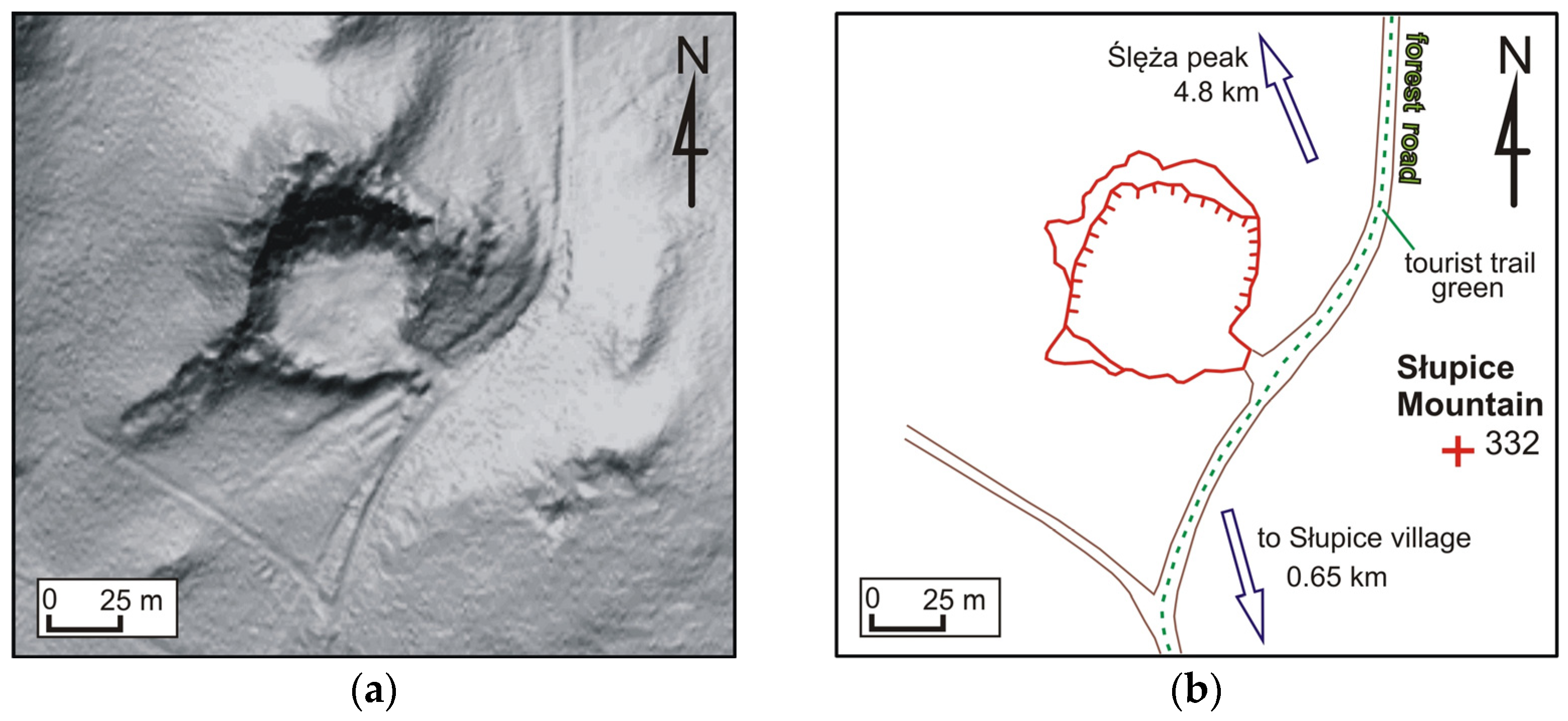 Forests 14 01386 g013 Forests 14 01386 g013