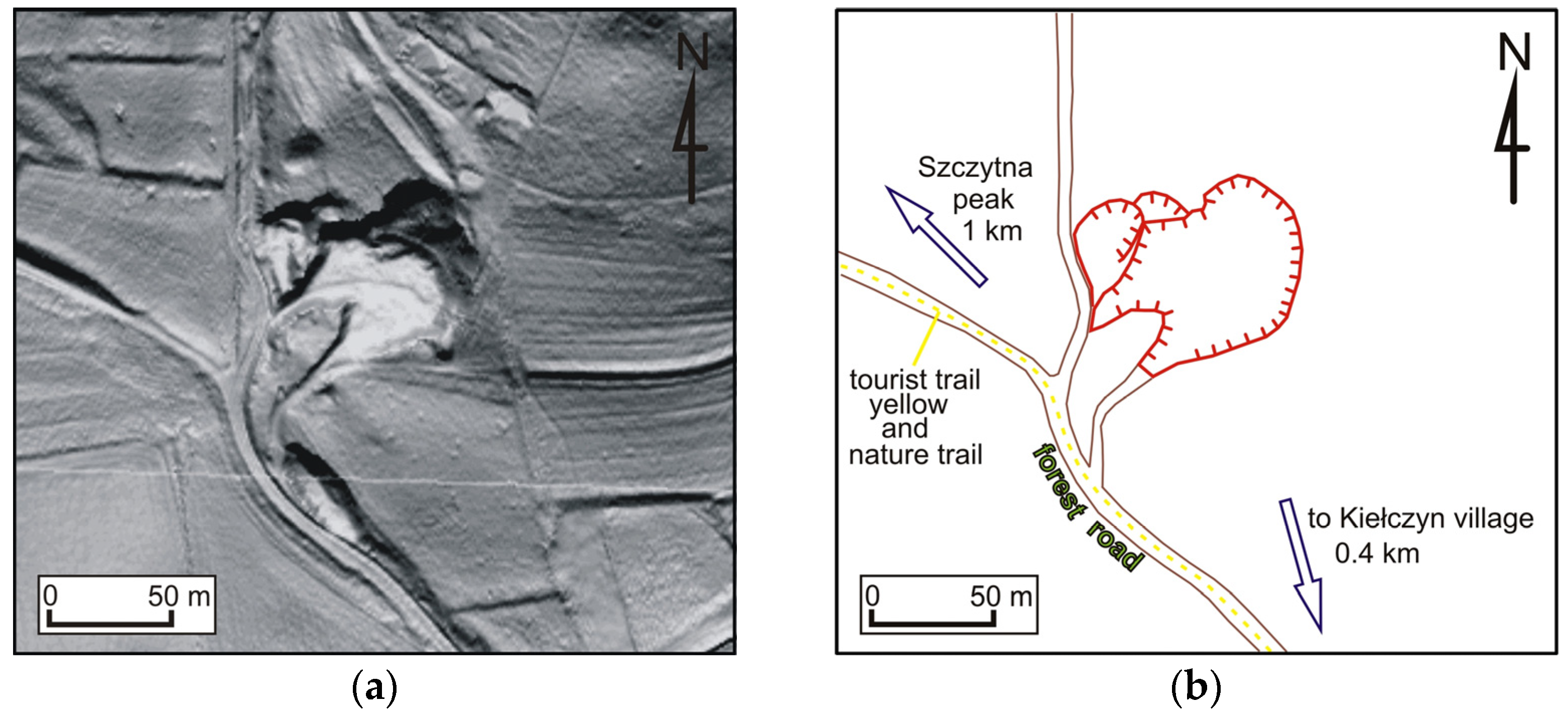 Forests 14 01386 g014 Forests 14 01386 g014