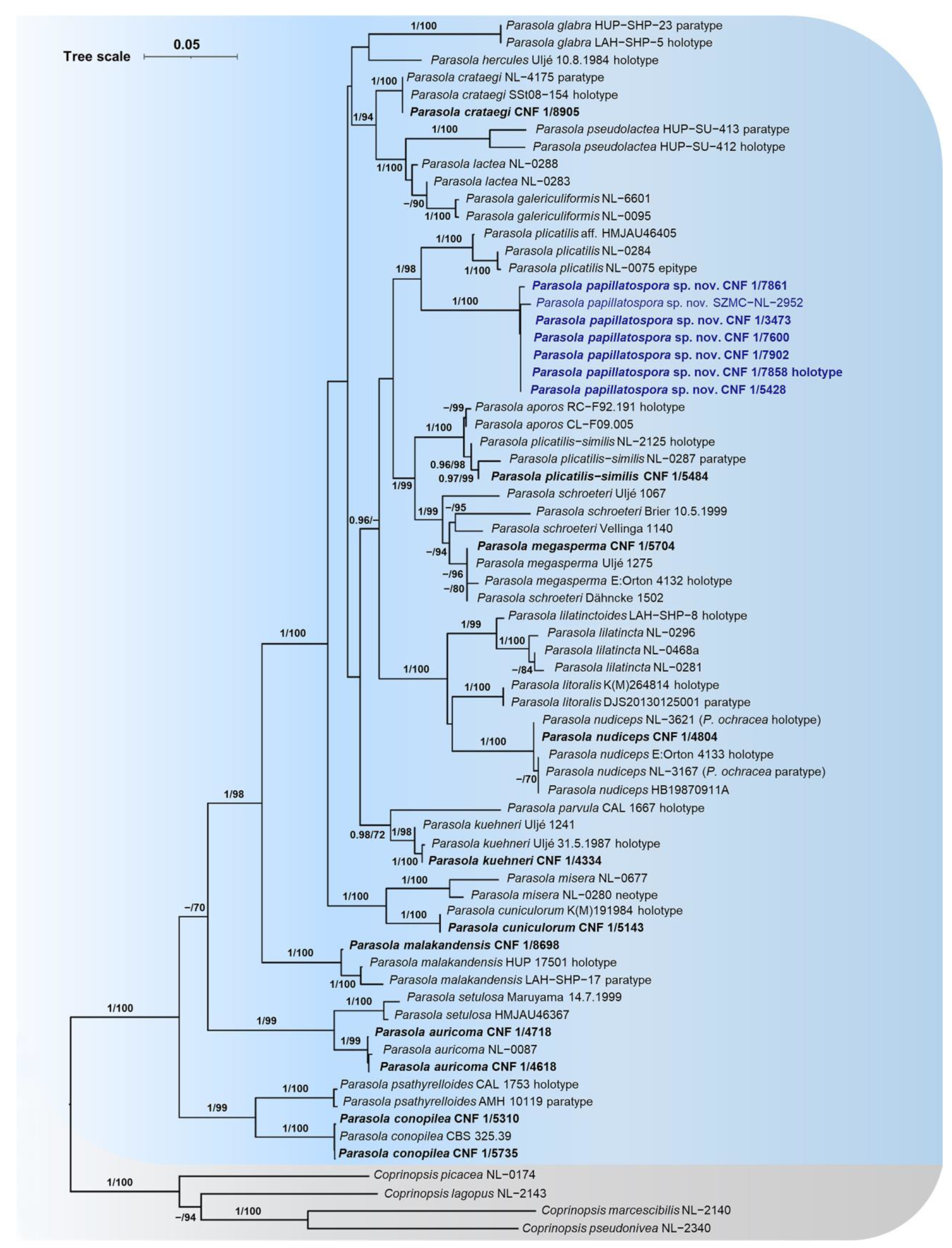 Forests 14 01387 g001 Forests 14 01387 g001
