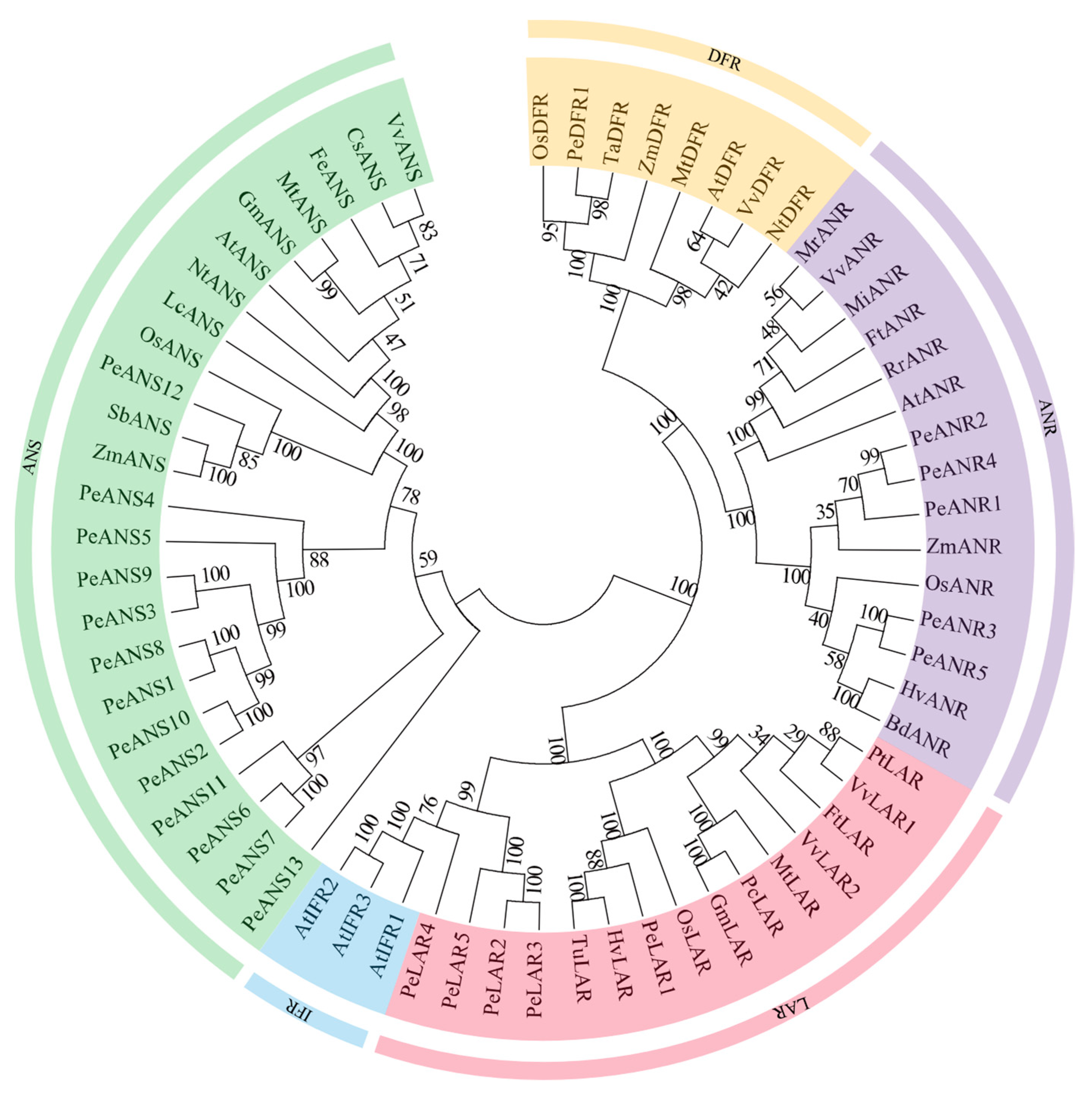 Forests 14 01399 g001 Forests 14 01399 g001