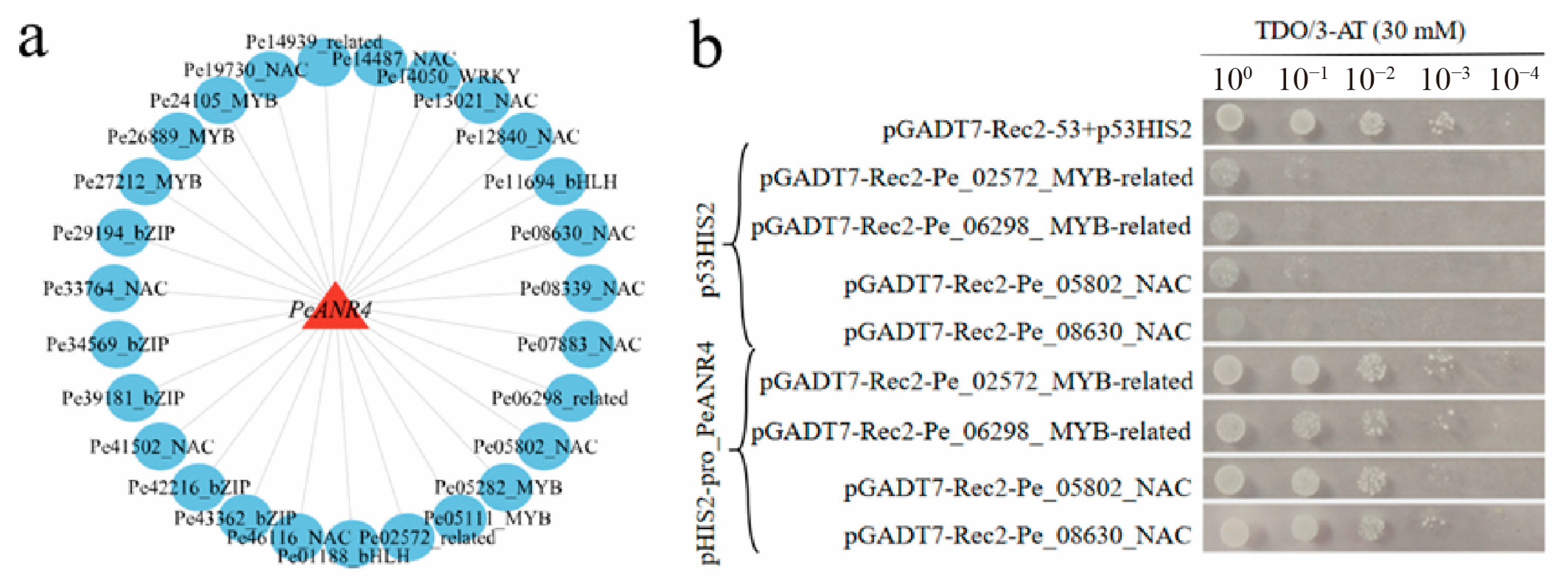 Forests 14 01399 g005 Forests 14 01399 g005