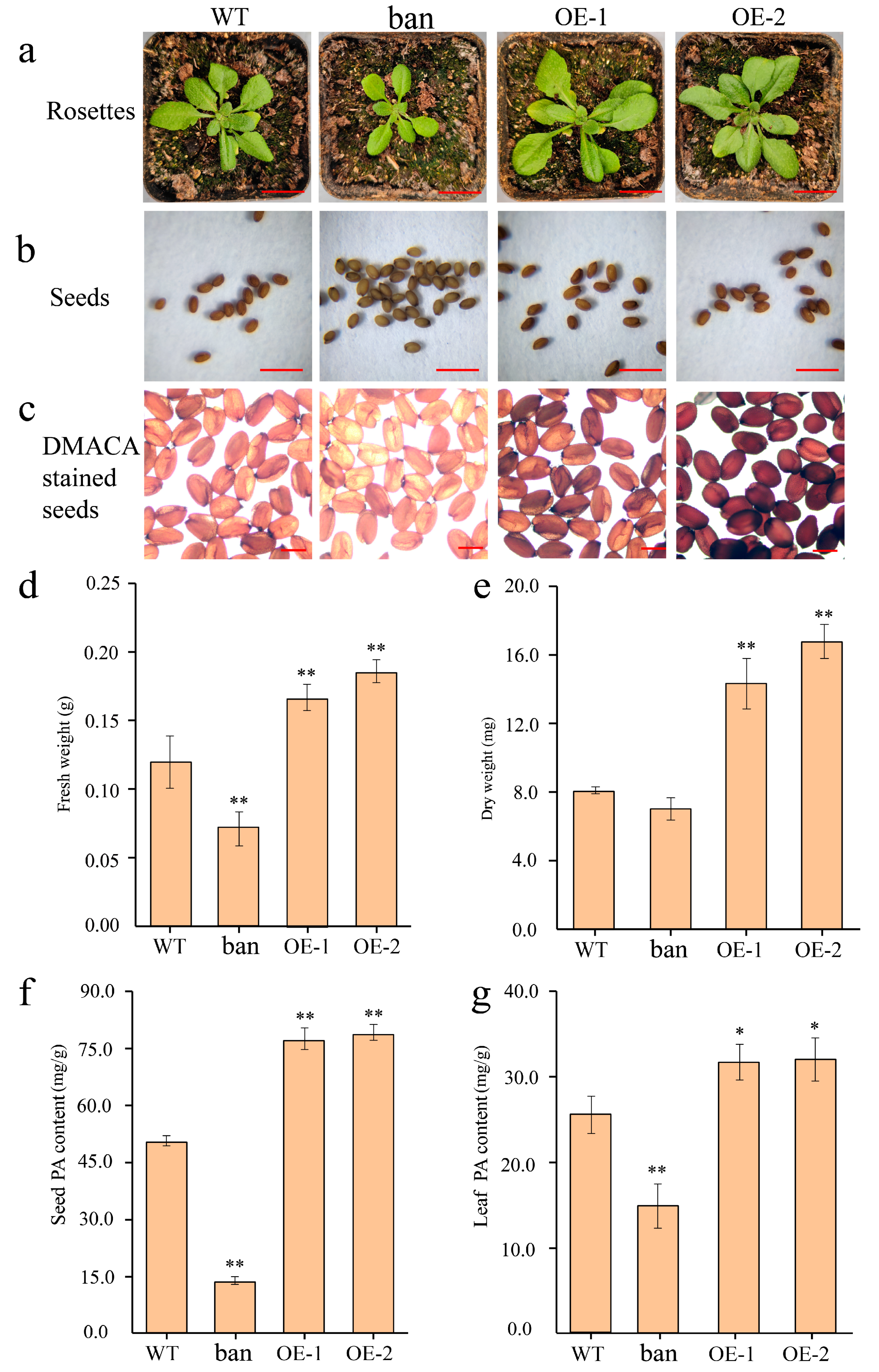 Forests 14 01399 g006 Forests 14 01399 g006