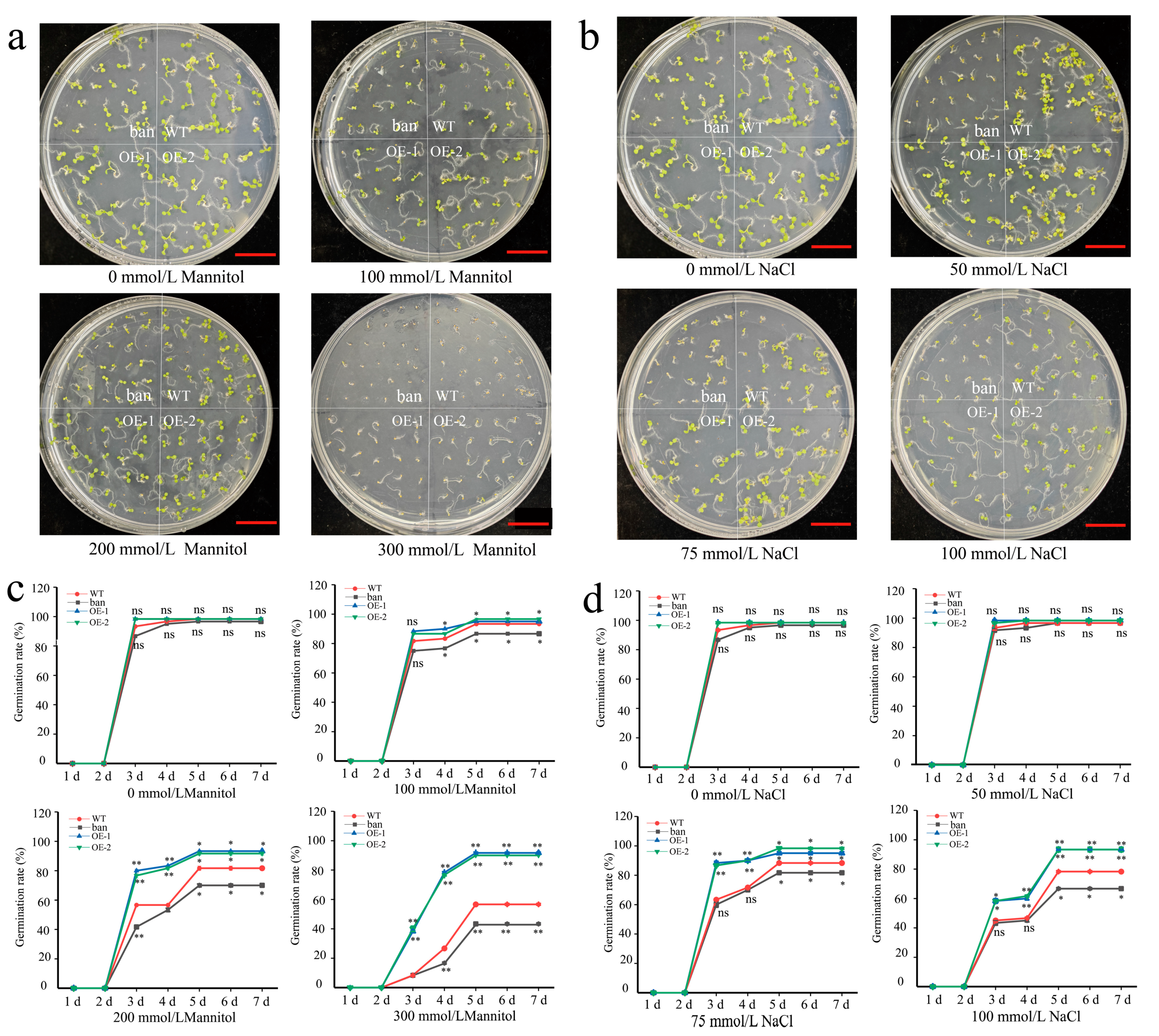Forests 14 01399 g007 Forests 14 01399 g007