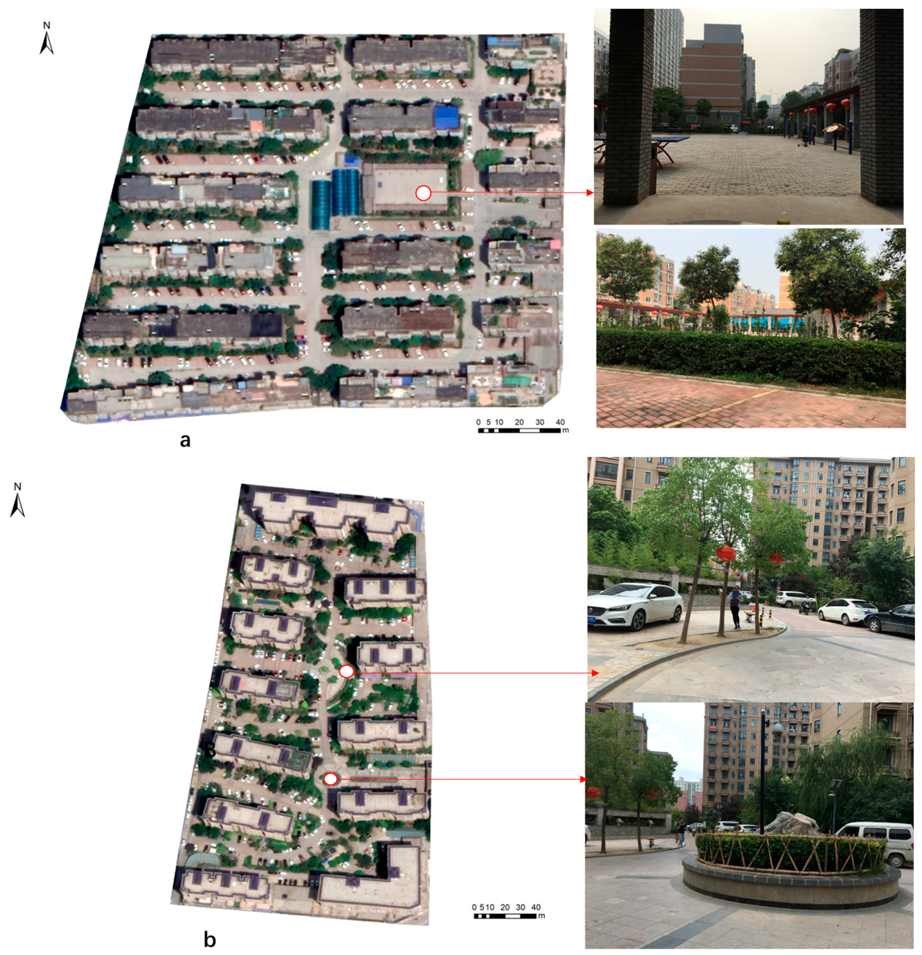 Forests 14 01401 g003