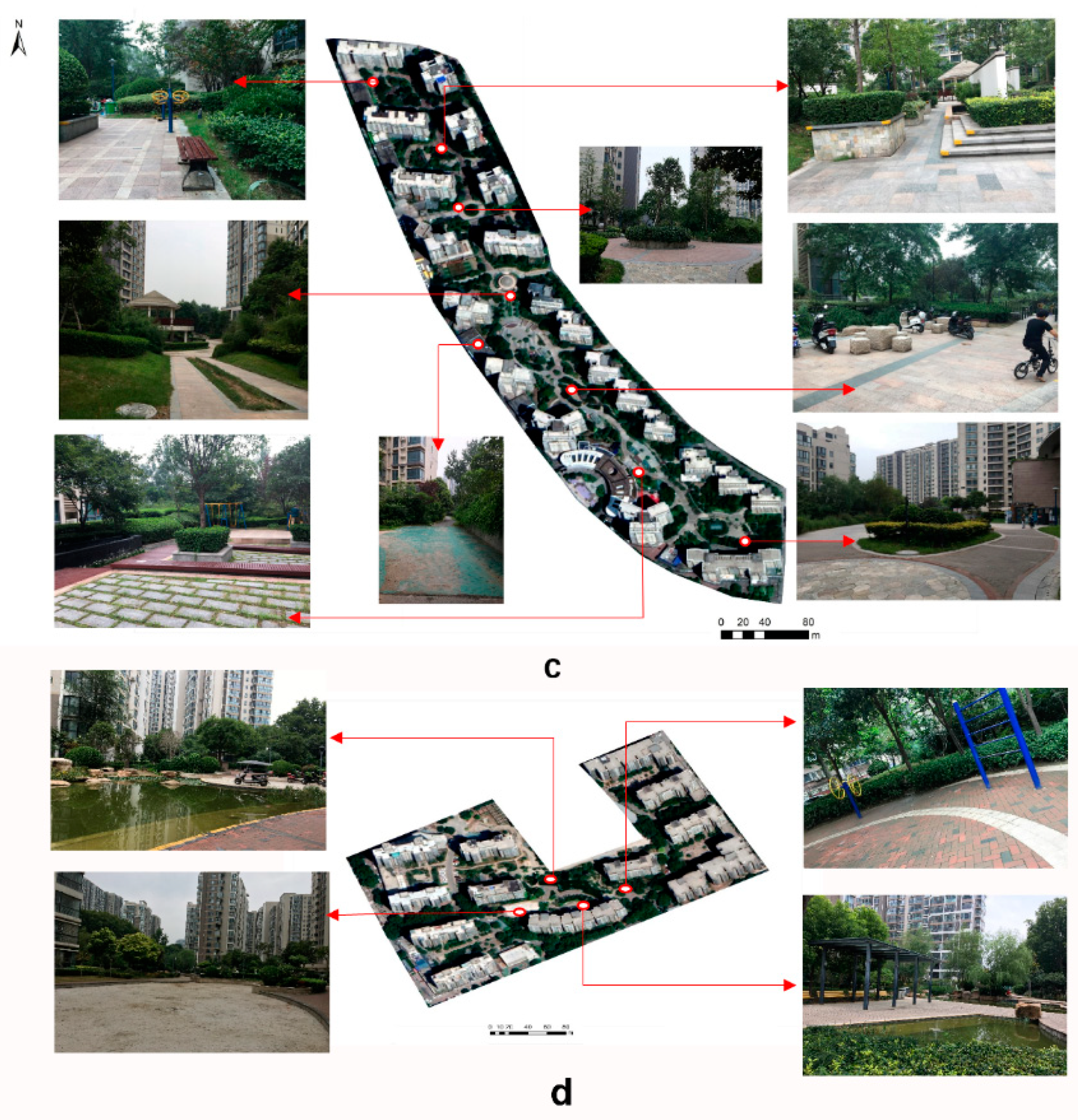 Forests 14 01401 g004