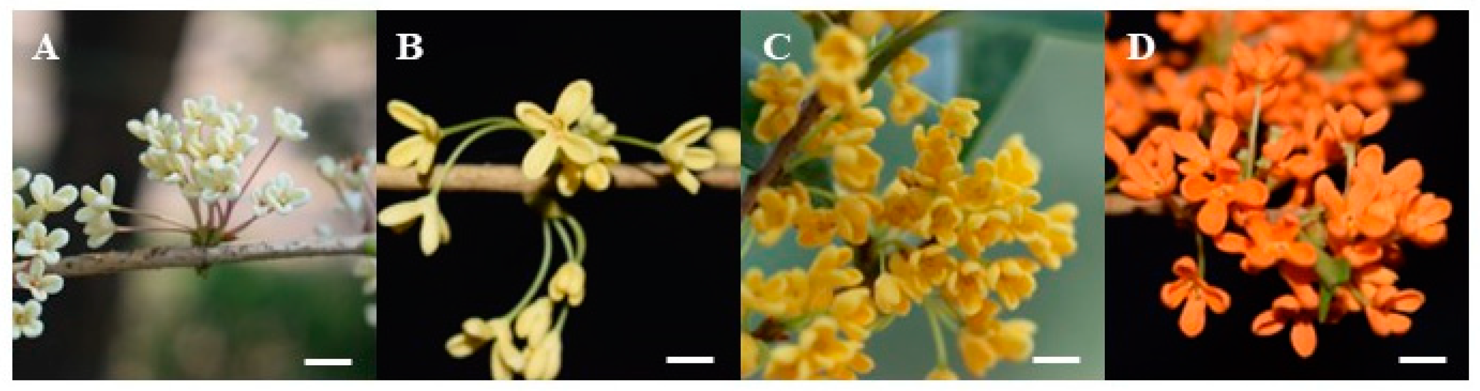 Forests 14 01403 g002 Forests 14 01403 g002