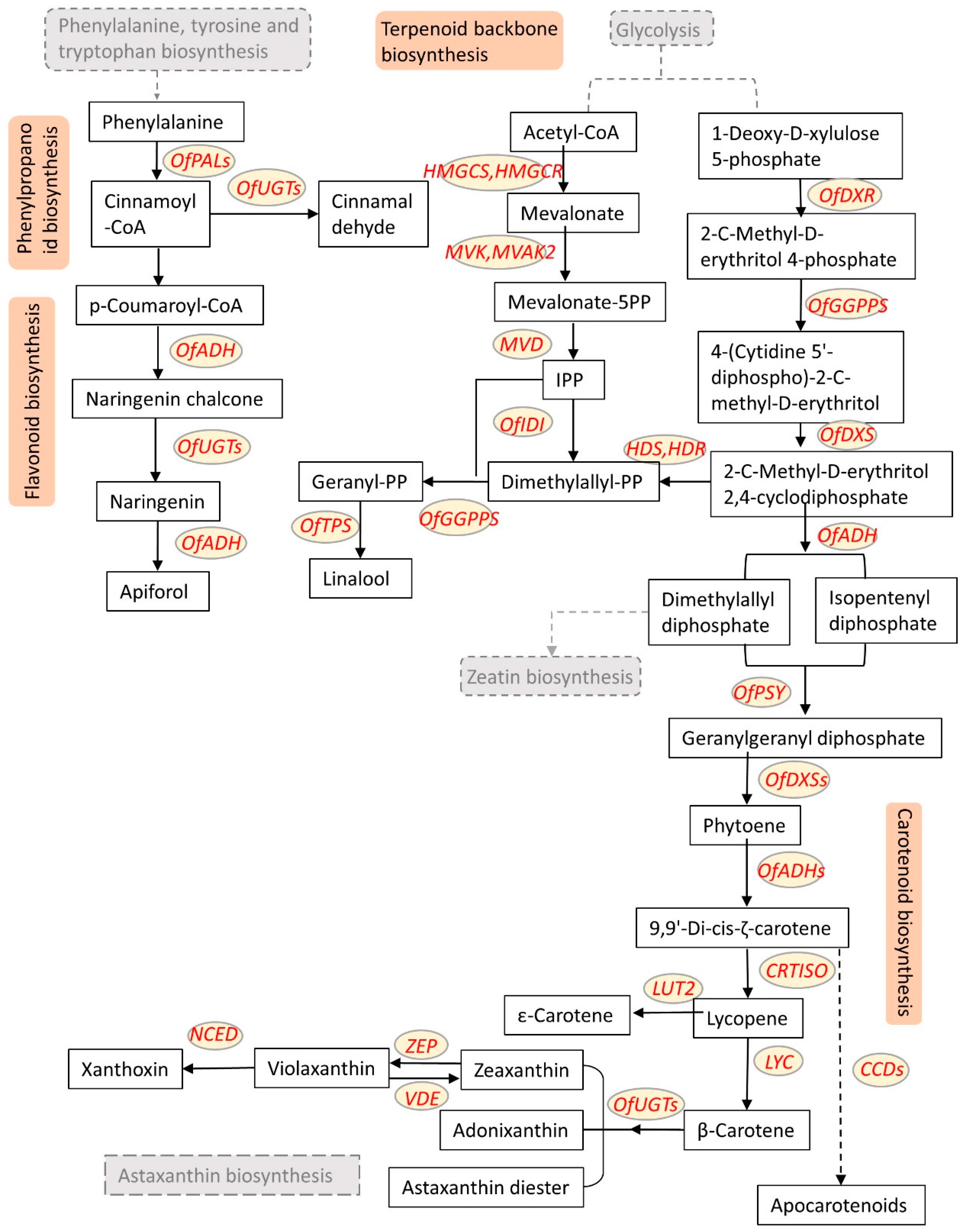 Forests 14 01403 g003 Forests 14 01403 g003