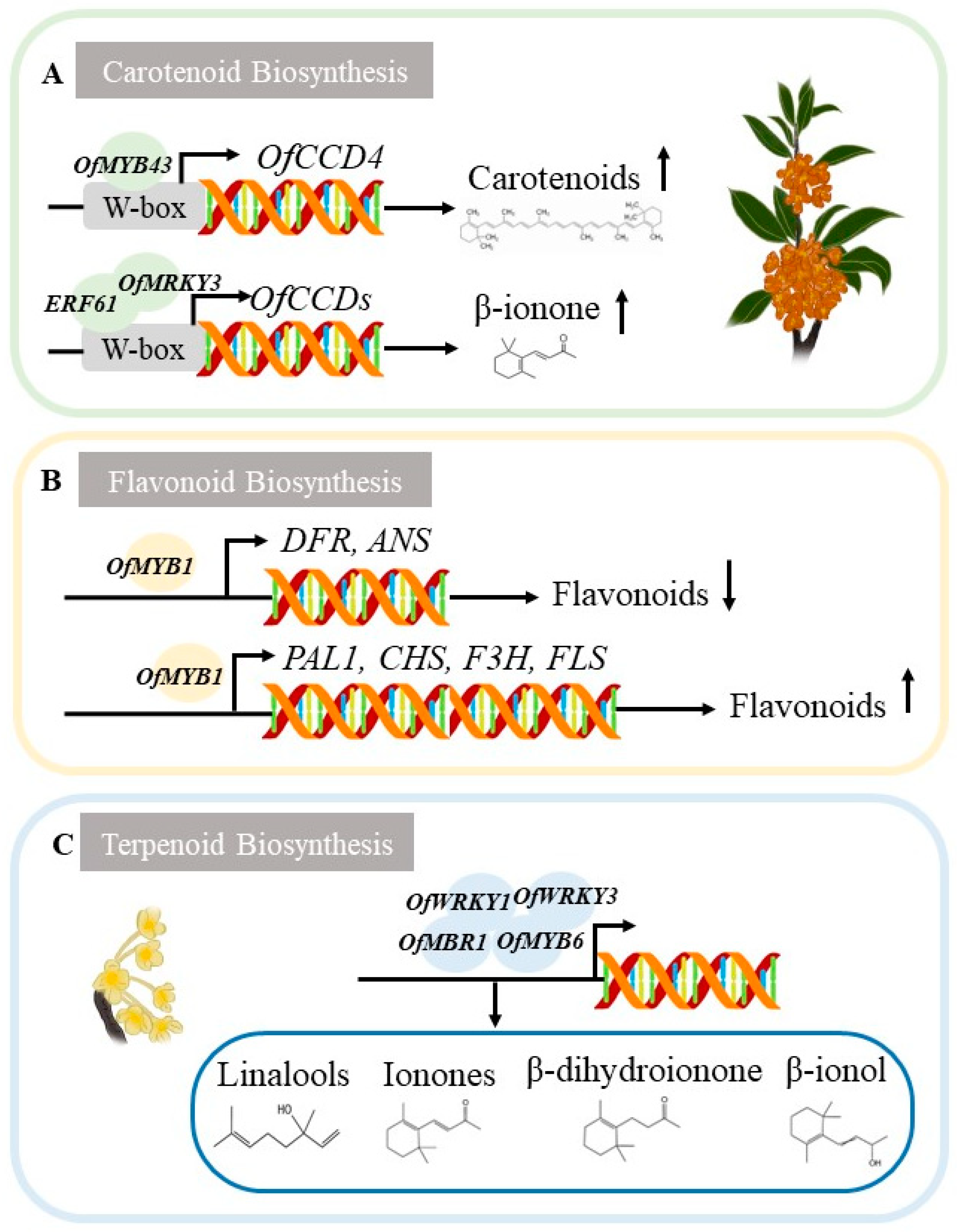 Forests 14 01403 g004 Forests 14 01403 g004