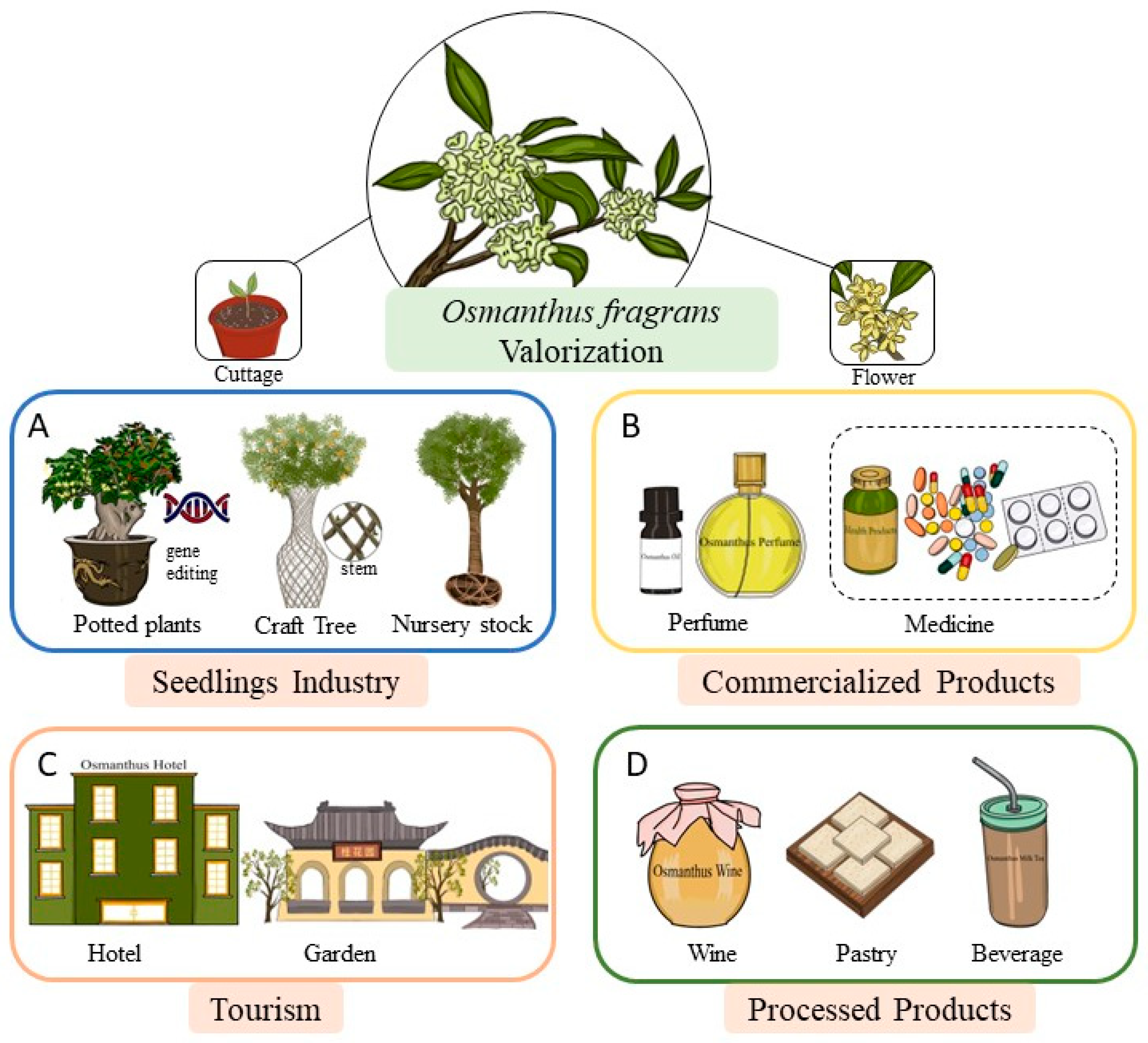 Forests 14 01403 g006 Forests 14 01403 g006