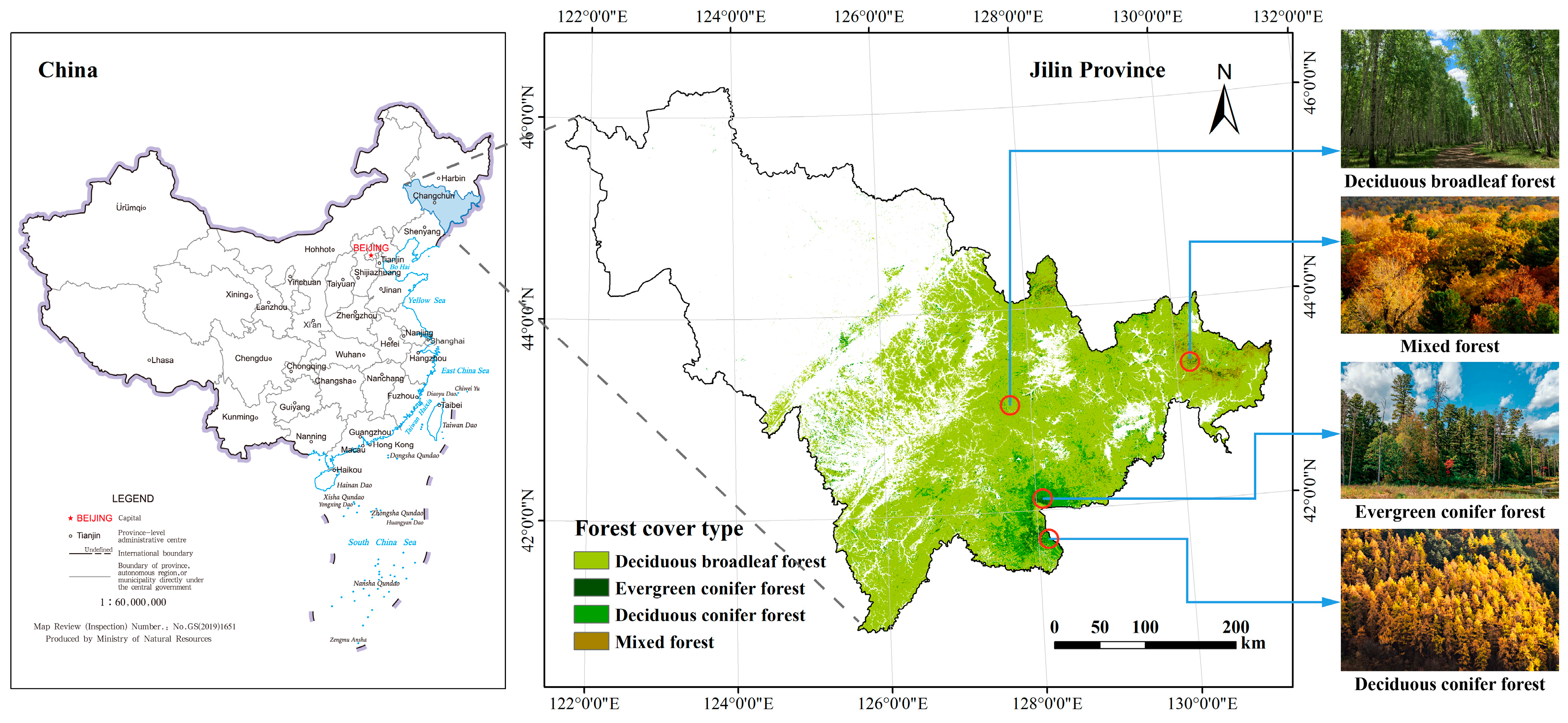 Forests 14 01414 g004 Forests 14 01414 g004