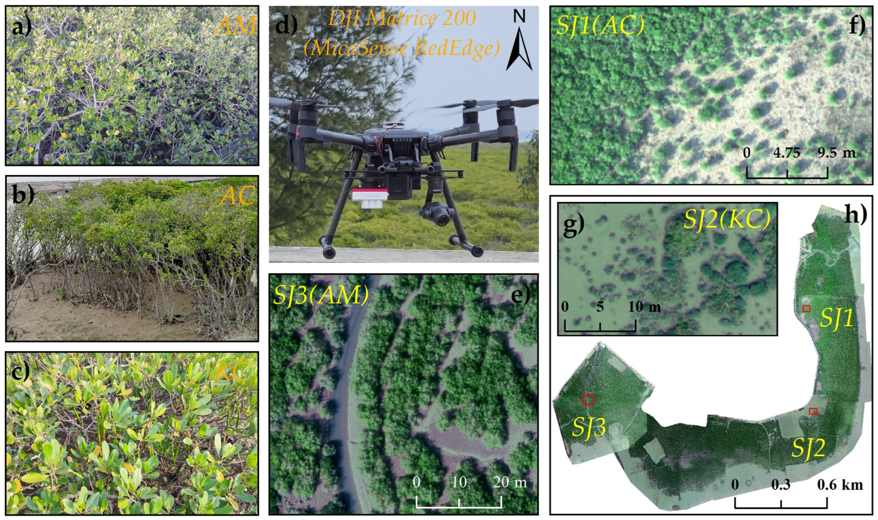 Forests 14 01417 g002