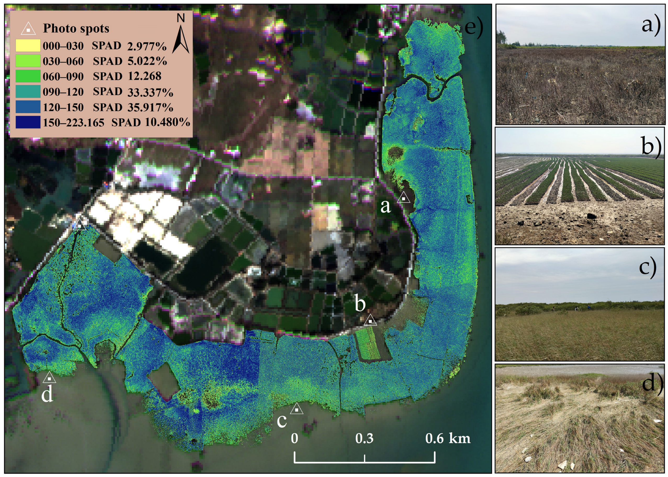 Forests 14 01417 g010