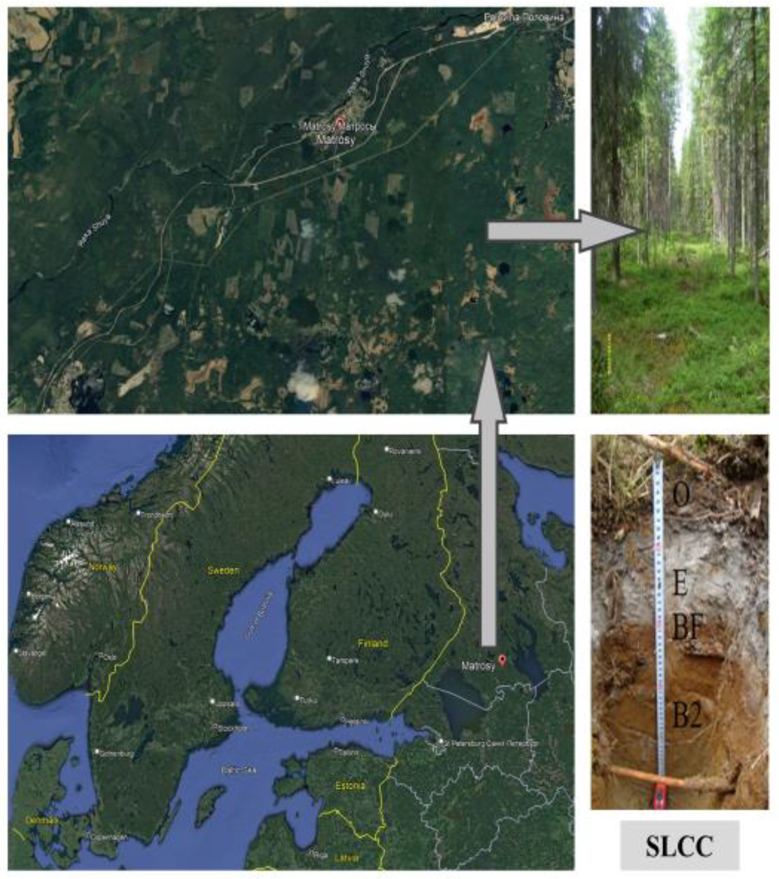 Forests 14 01424 g001 Forests 14 01424 g001