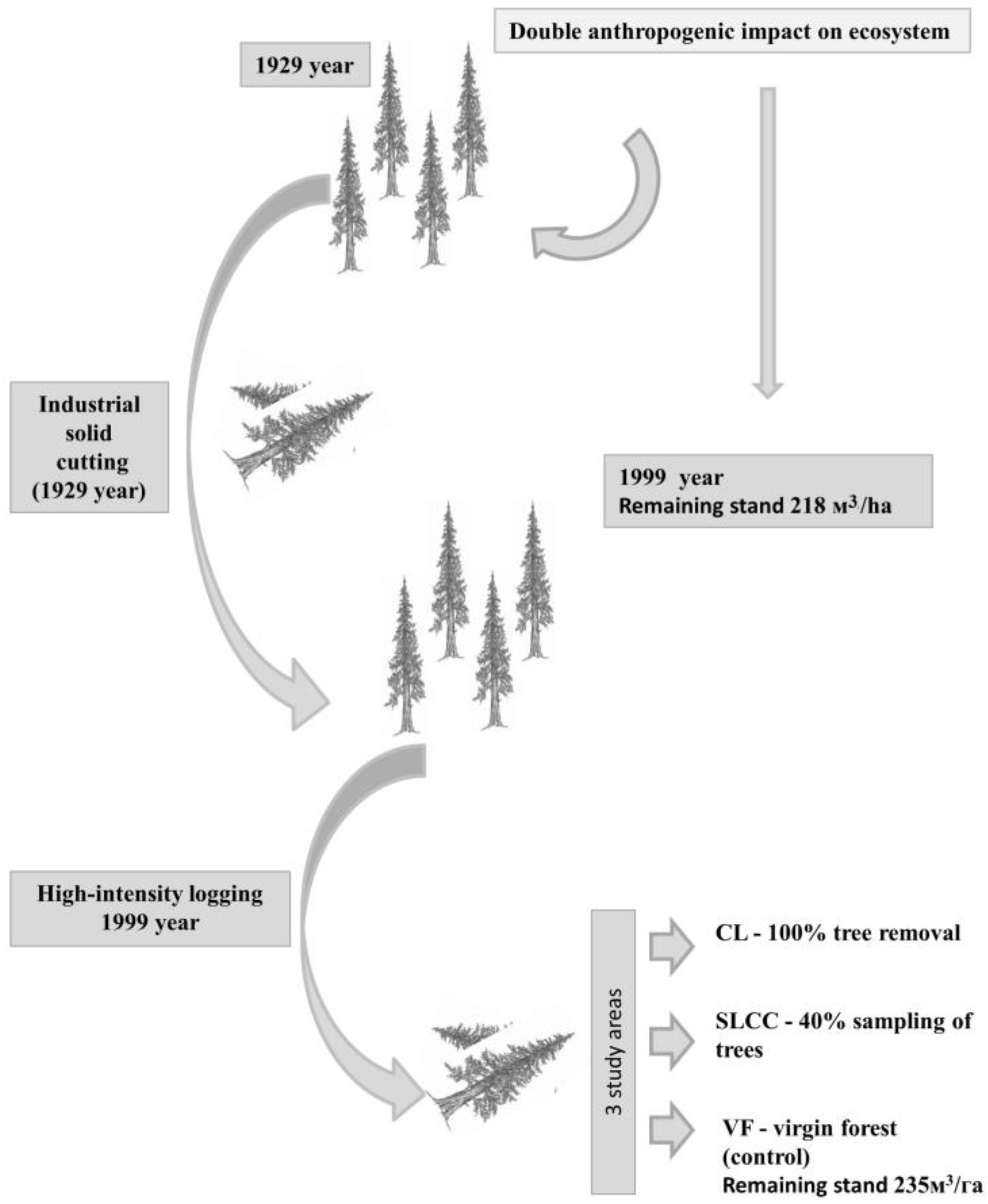Forests 14 01424 g002 Forests 14 01424 g002