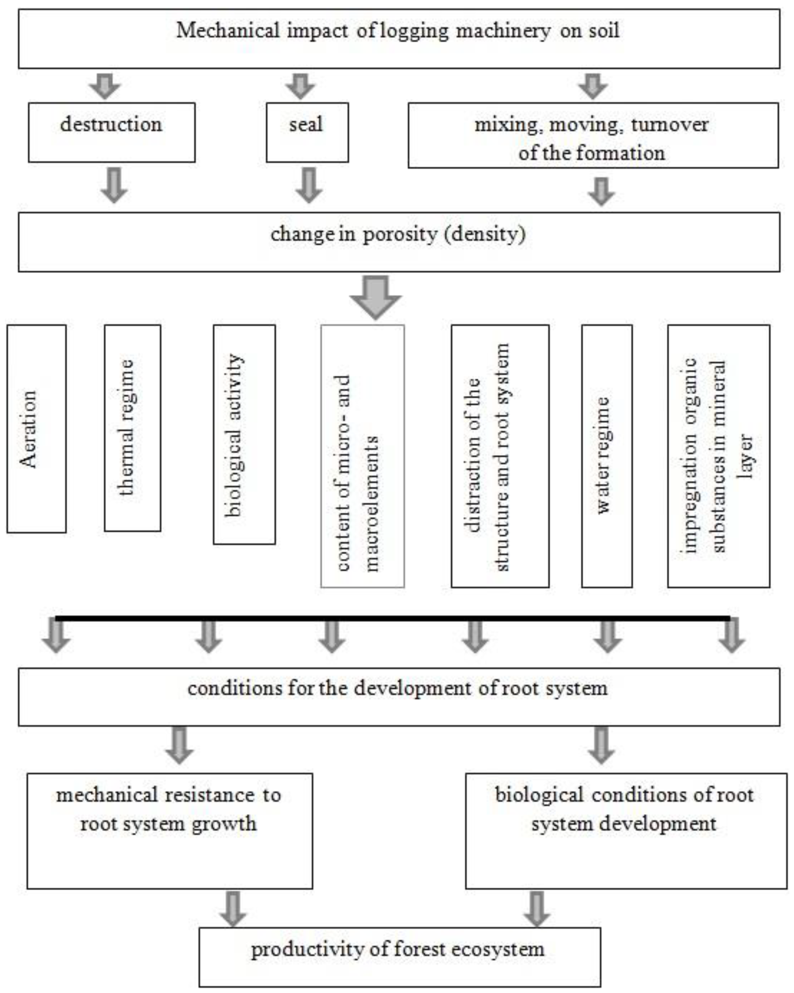 Forests 14 01424 g005 Forests 14 01424 g005