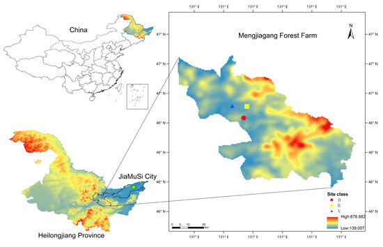 Effects of Tree Competition on Biomass Allocation of Stump