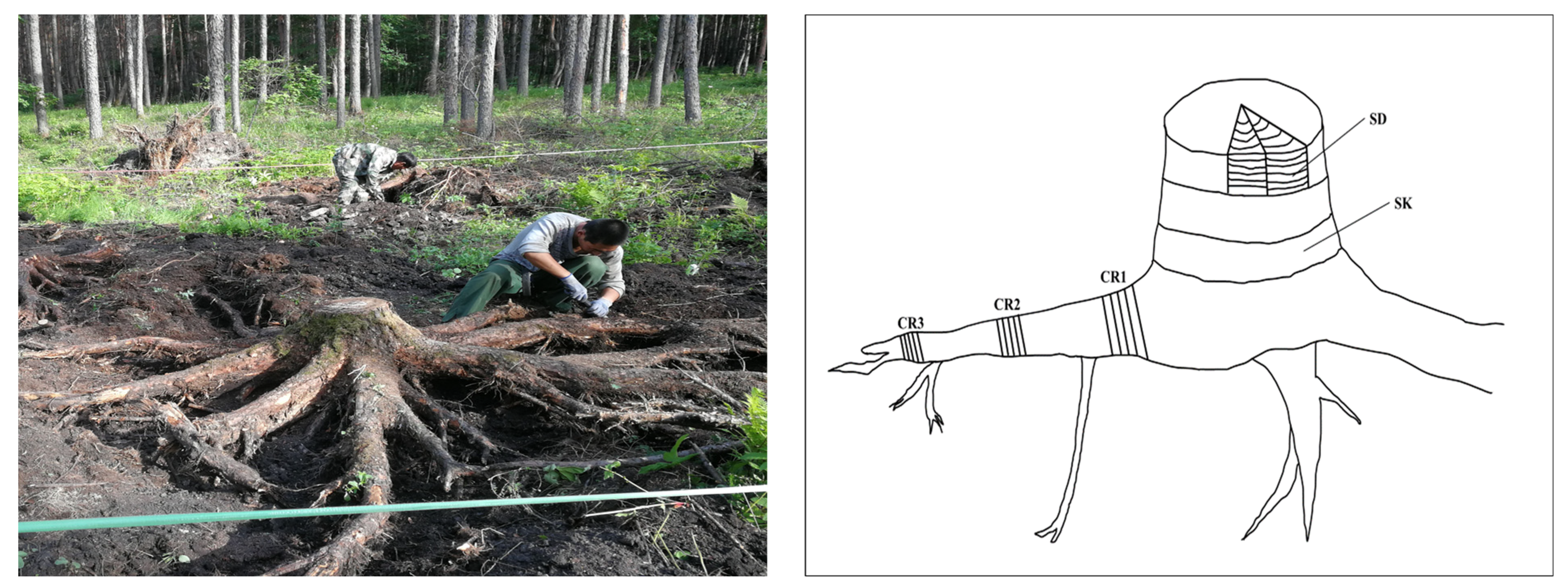 Forests 14 01431 g002 Forests 14 01431 g002