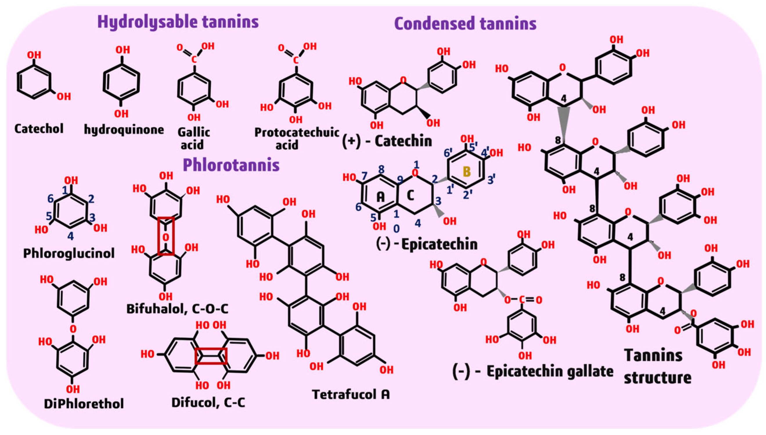 Forests 14 01433 g001