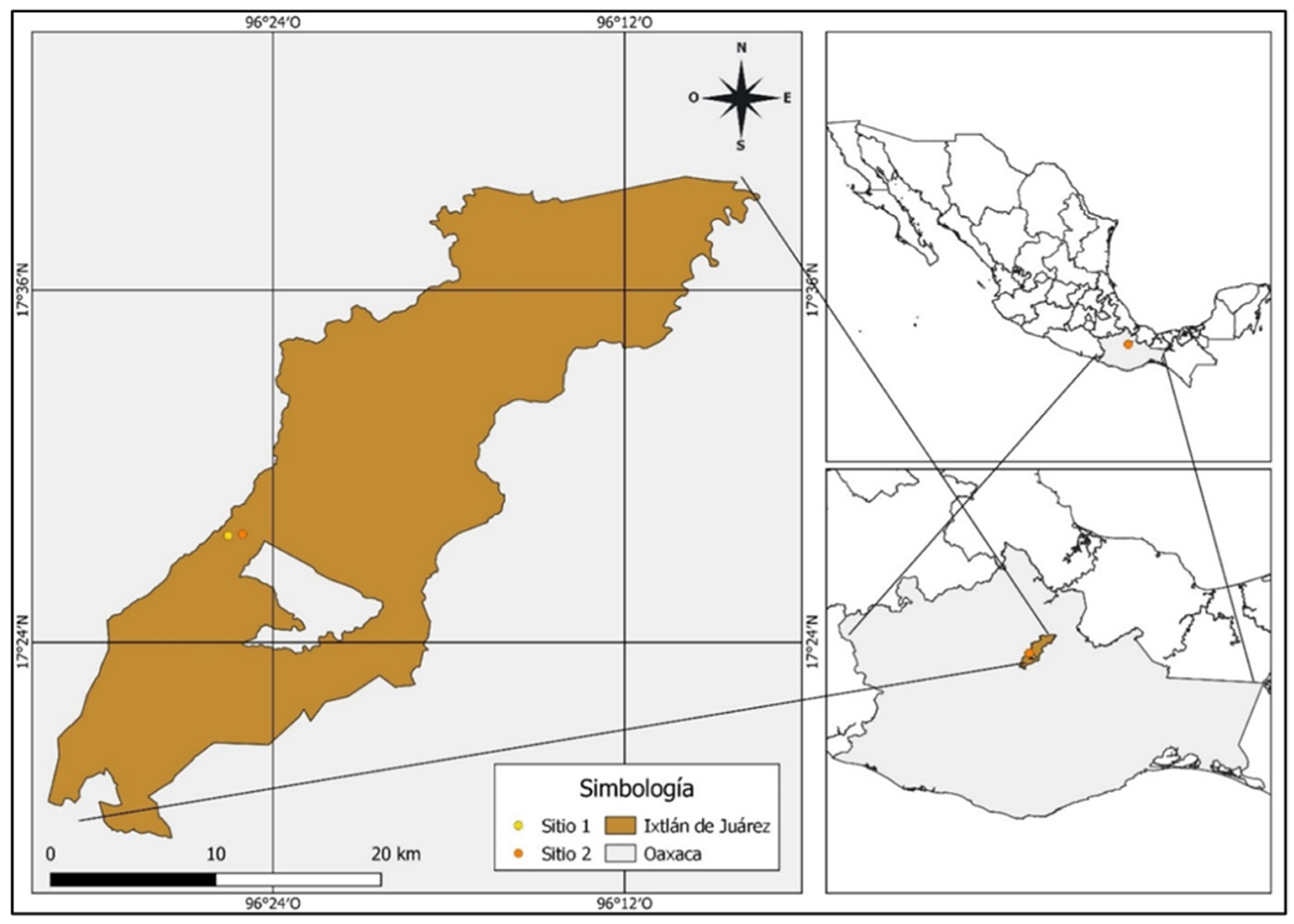 Forests 14 01433 g002