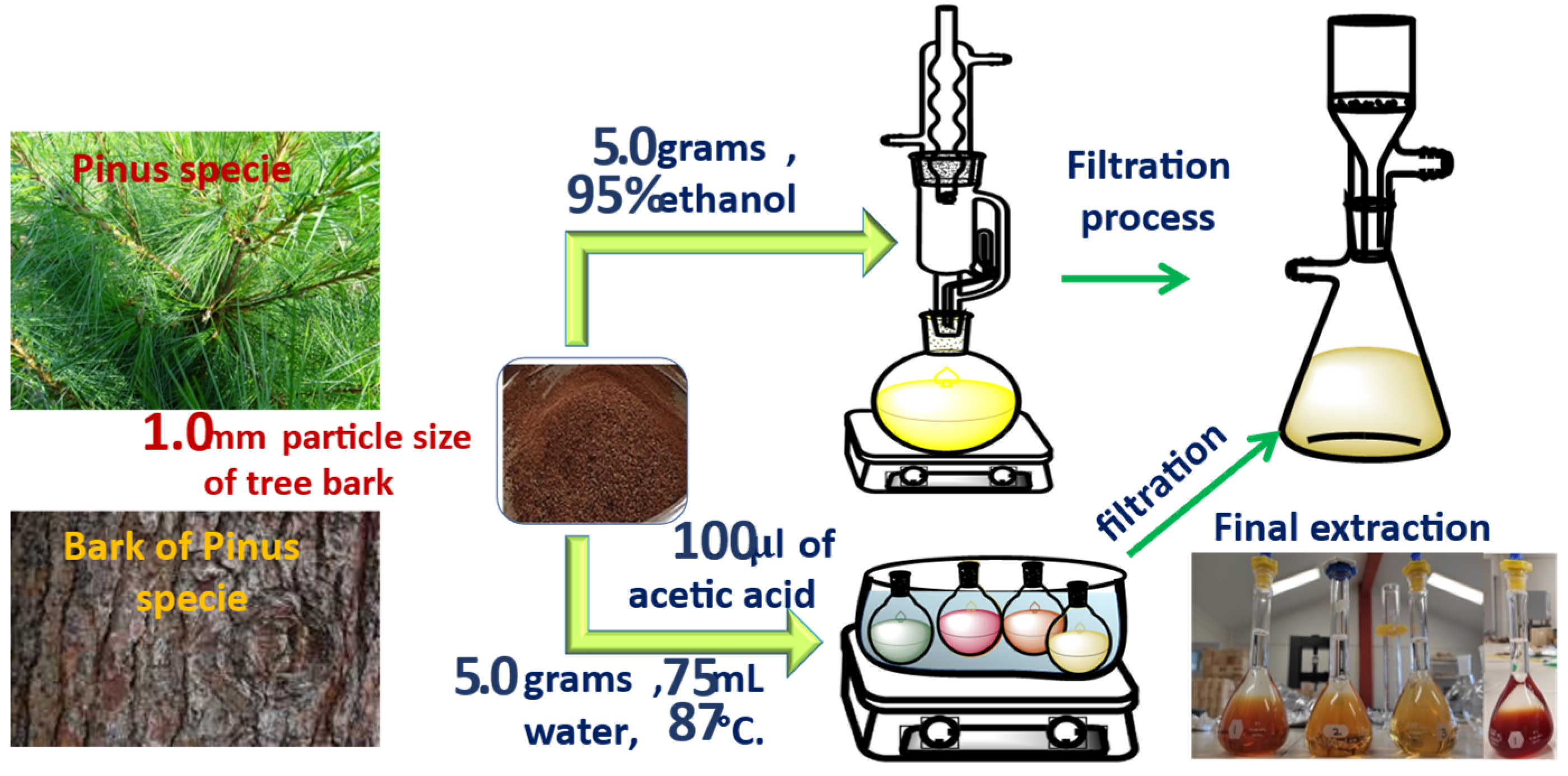 Forests 14 01433 g003