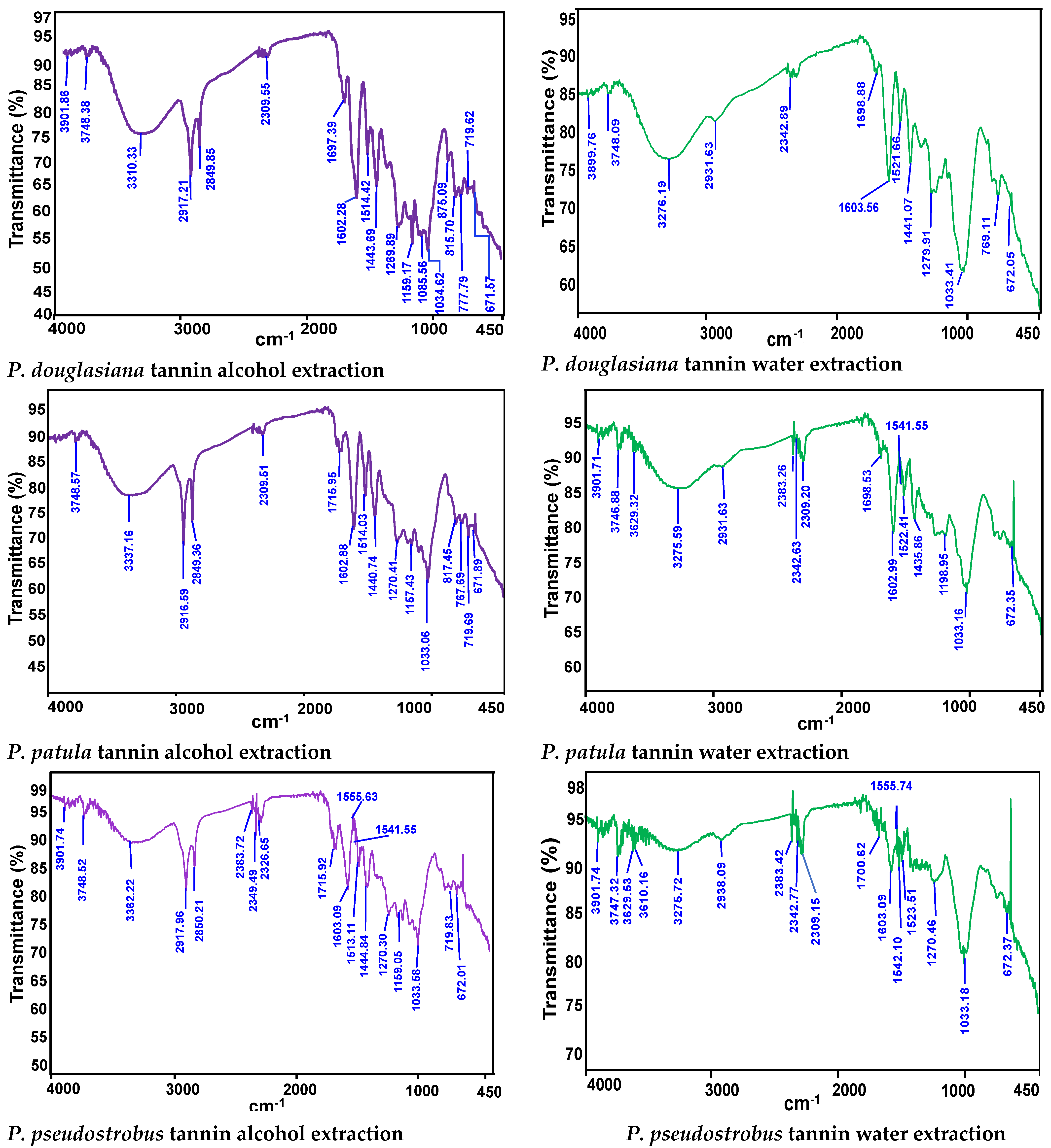 Forests 14 01433 g004b