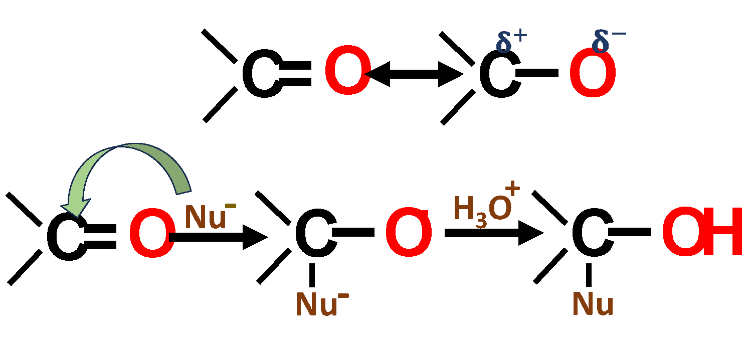 Forests 14 01433 g005