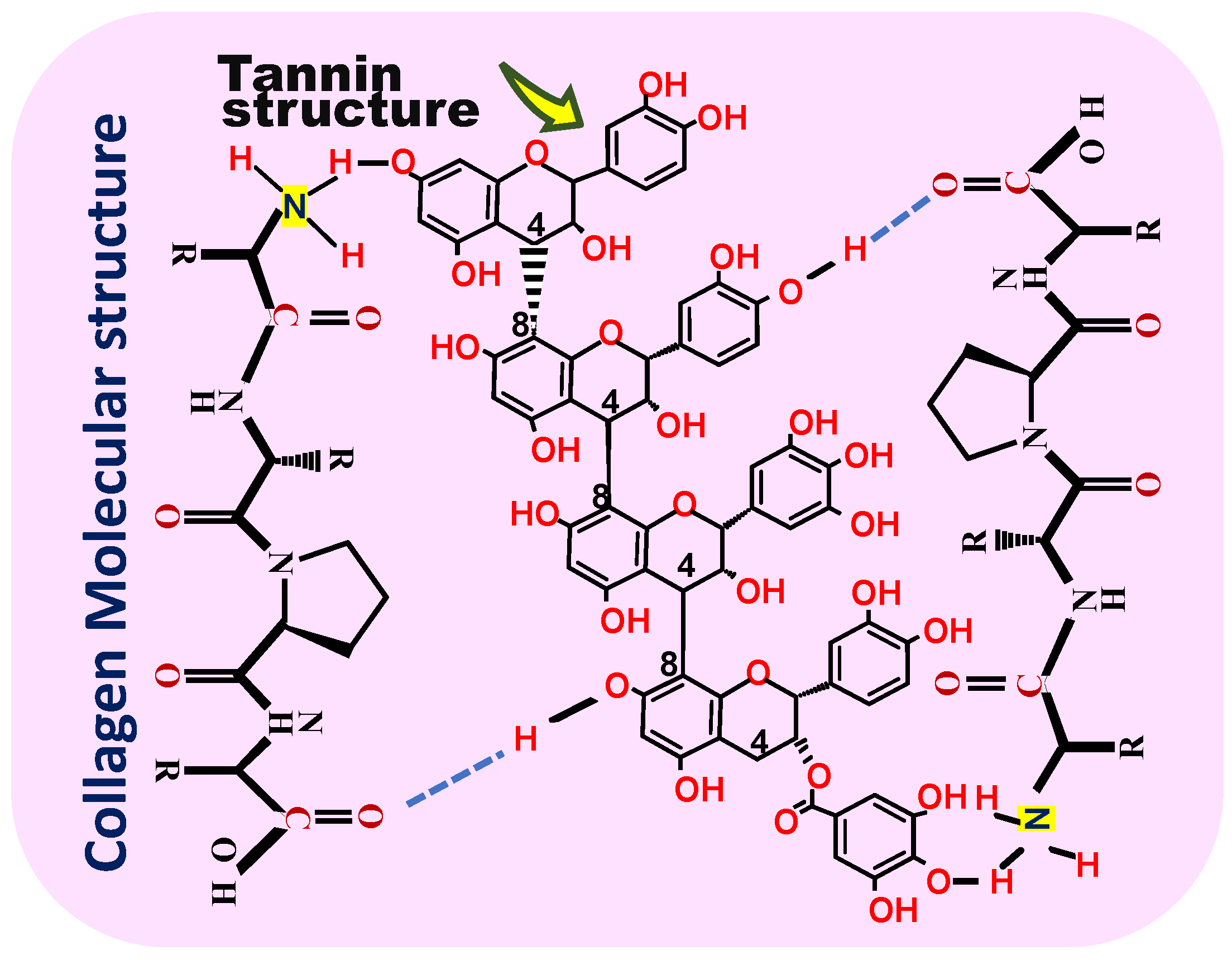 Forests 14 01433 g006