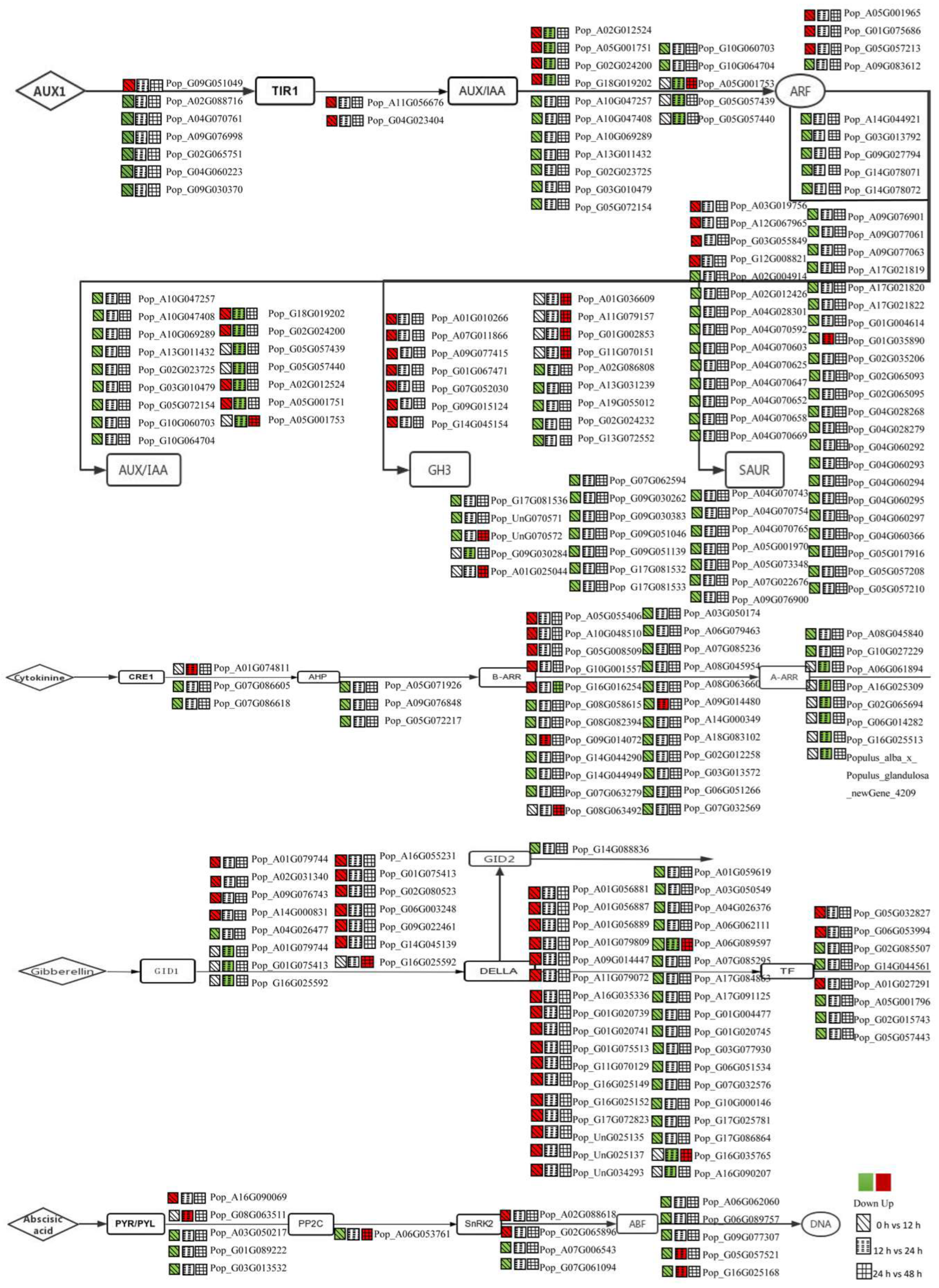 Forests 14 01436 g004 Forests 14 01436 g004
