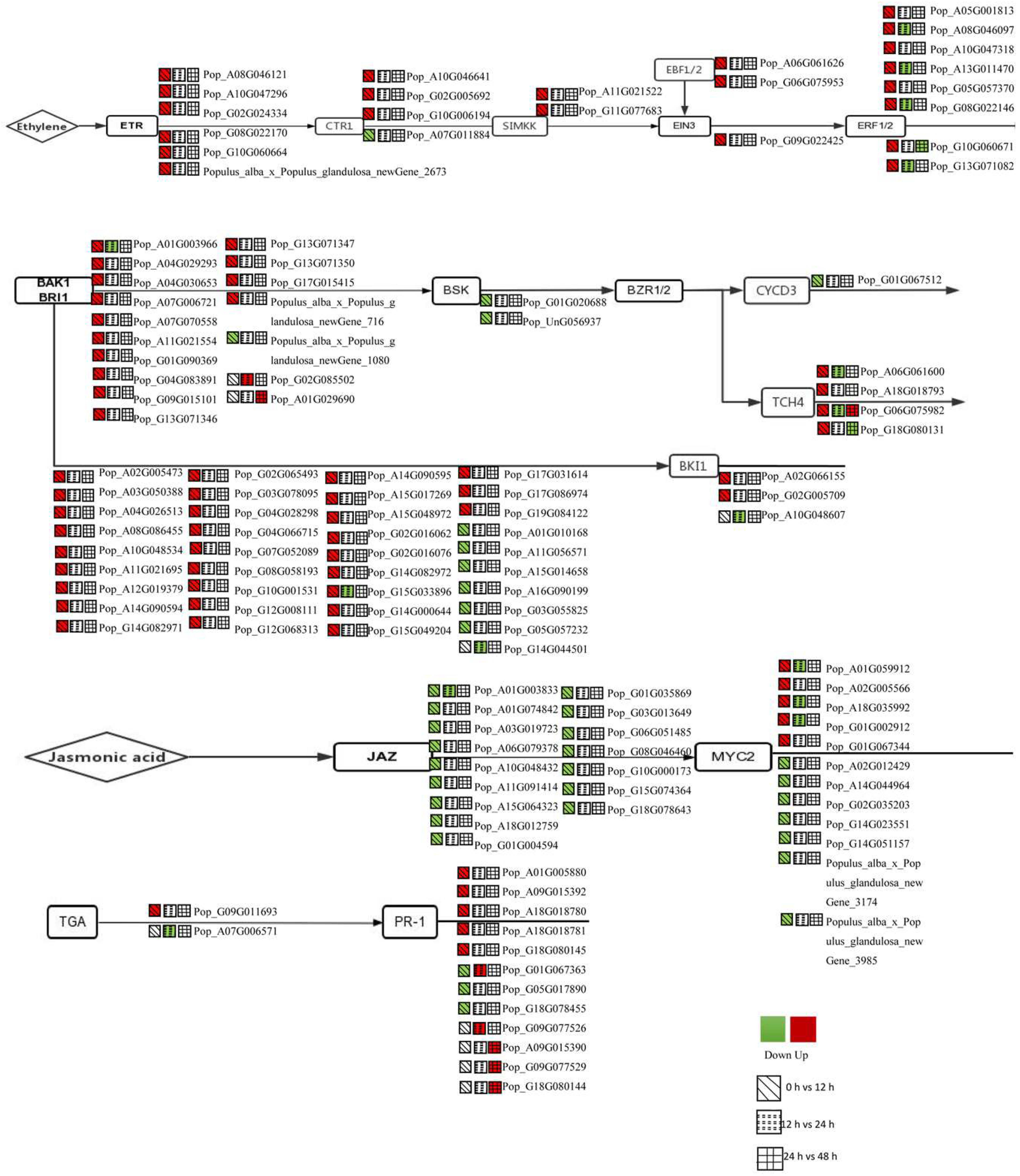 Forests 14 01436 g005 Forests 14 01436 g005