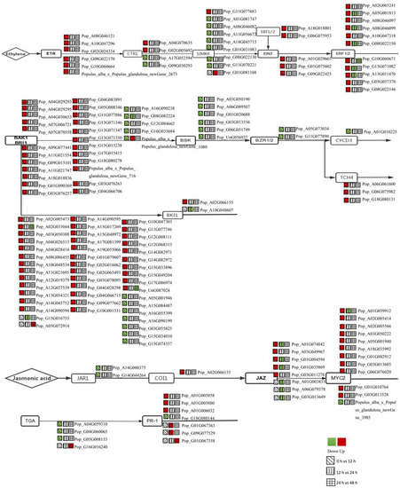 Transcriptome Analysis Reveals the Hormone Signalling Coexpression ...