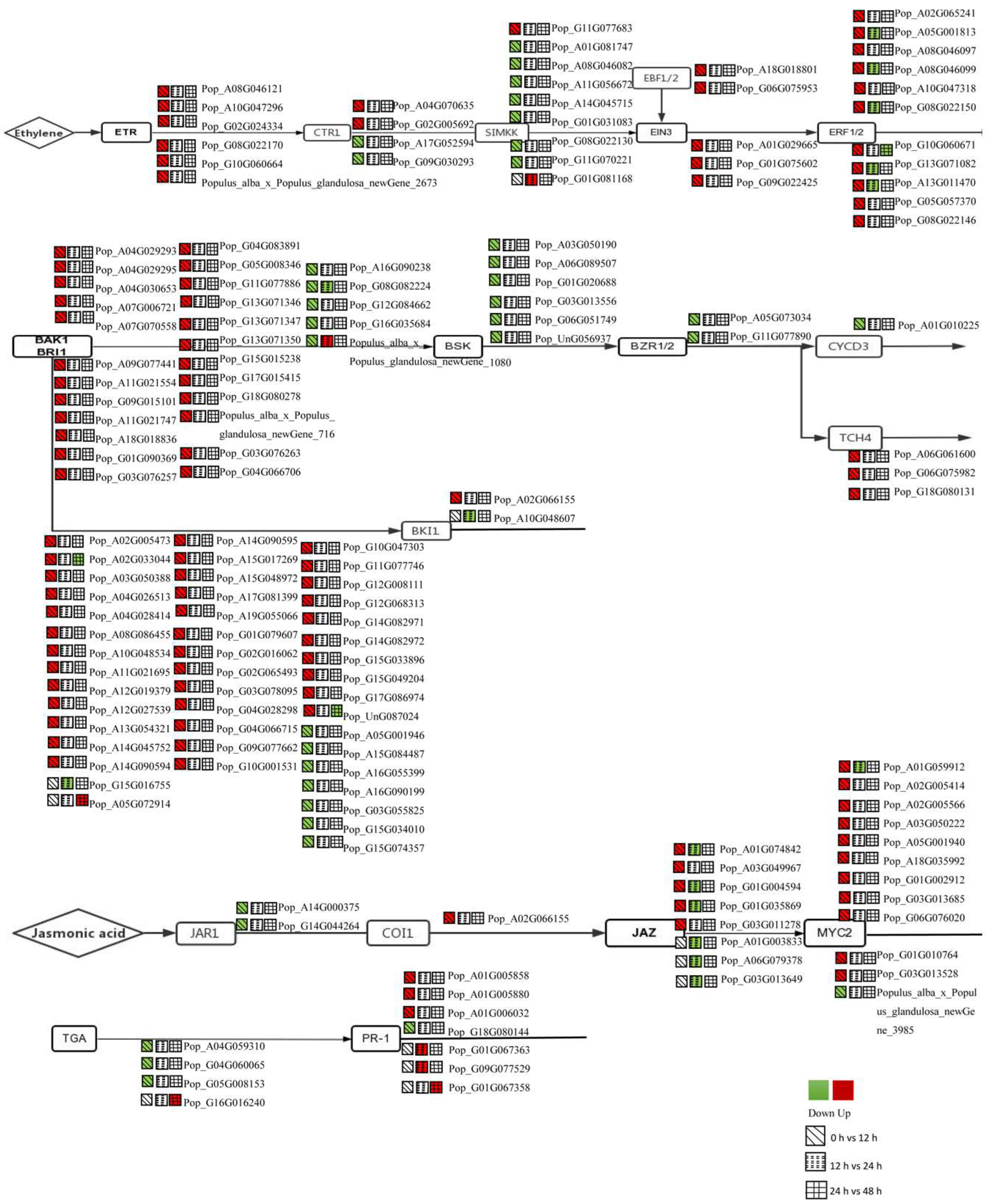 Forests 14 01436 g006 Forests 14 01436 g006