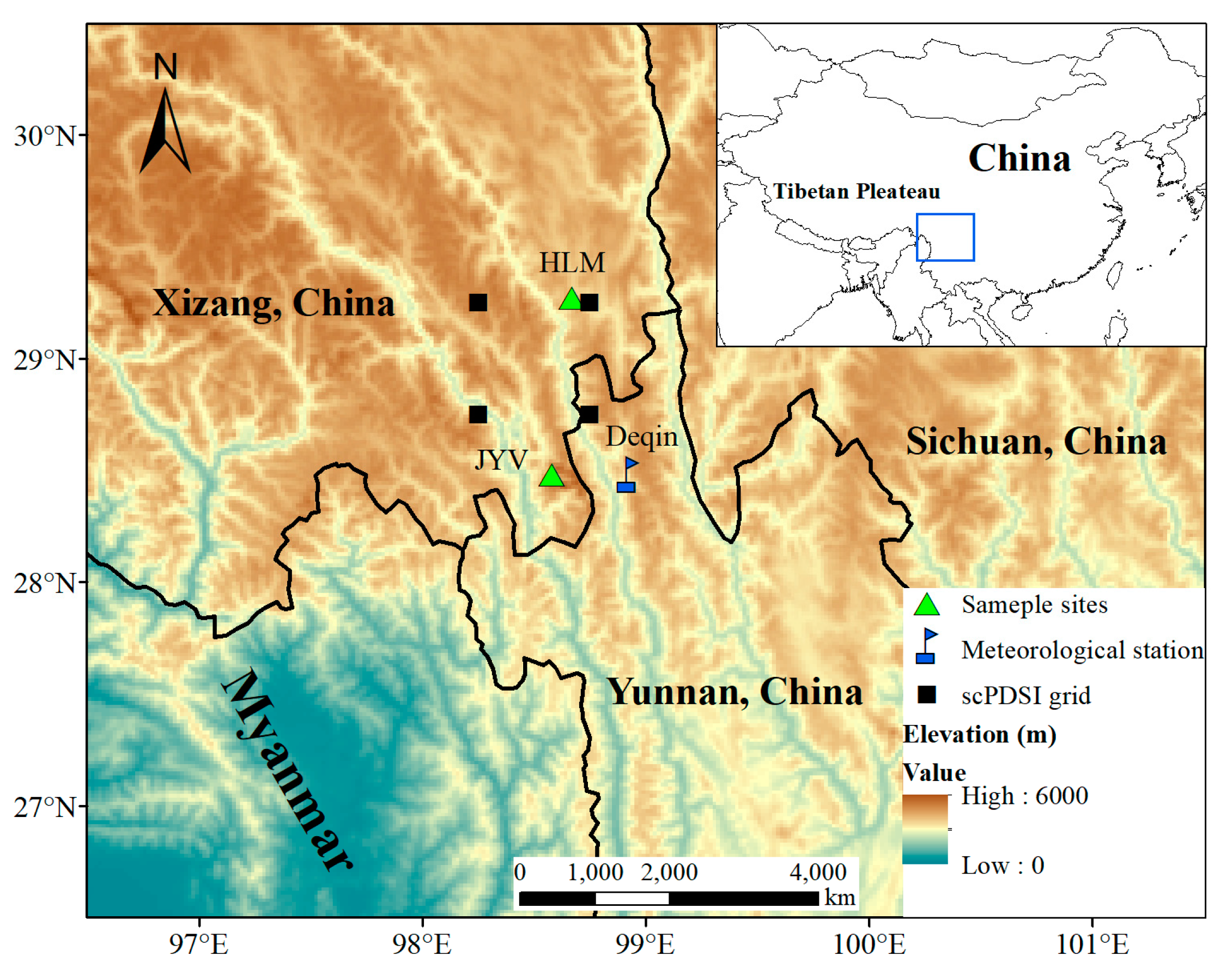 Forests 14 01441 g001 Forests 14 01441 g001