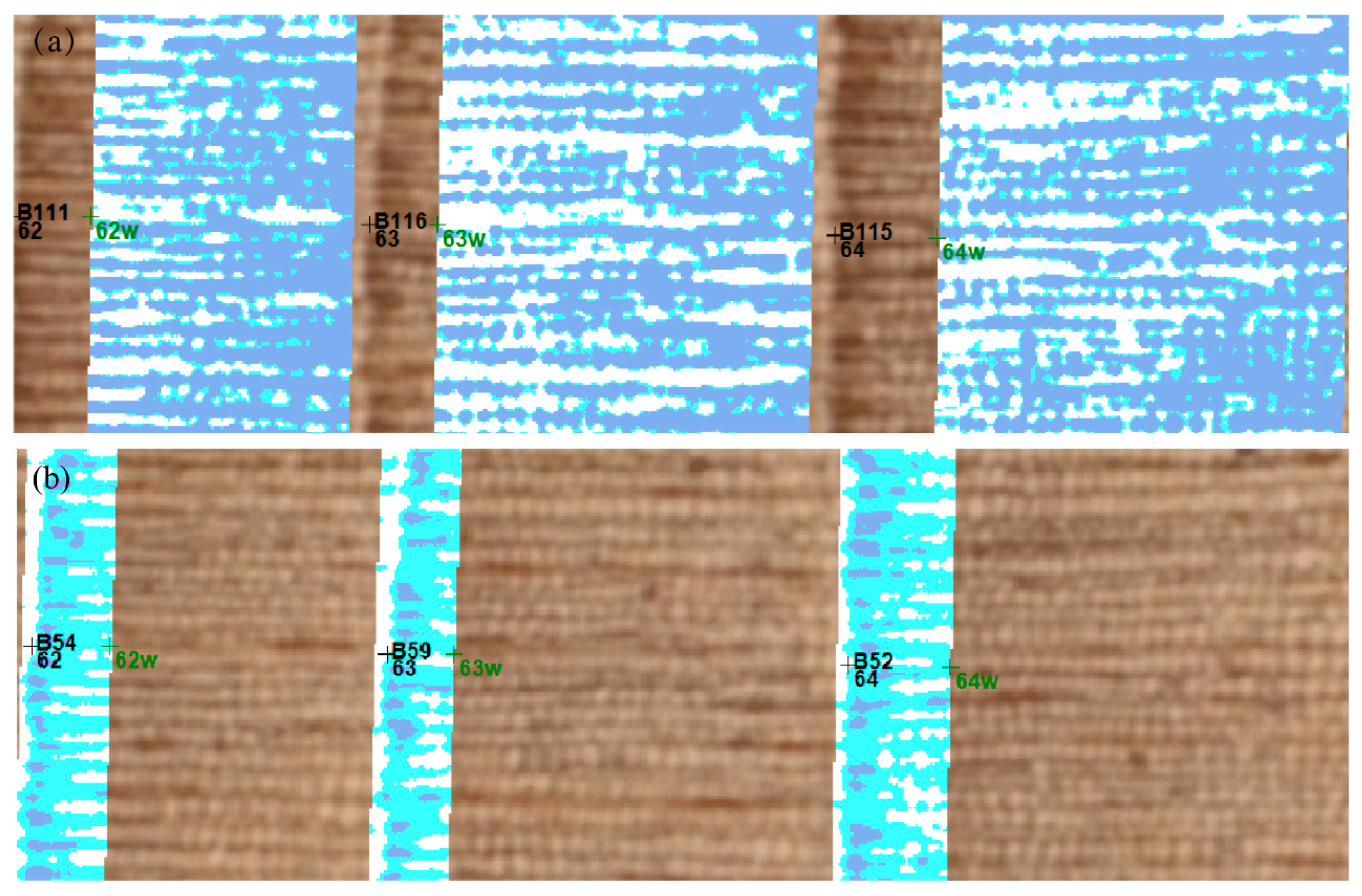 Forests 14 01441 g003 Forests 14 01441 g003