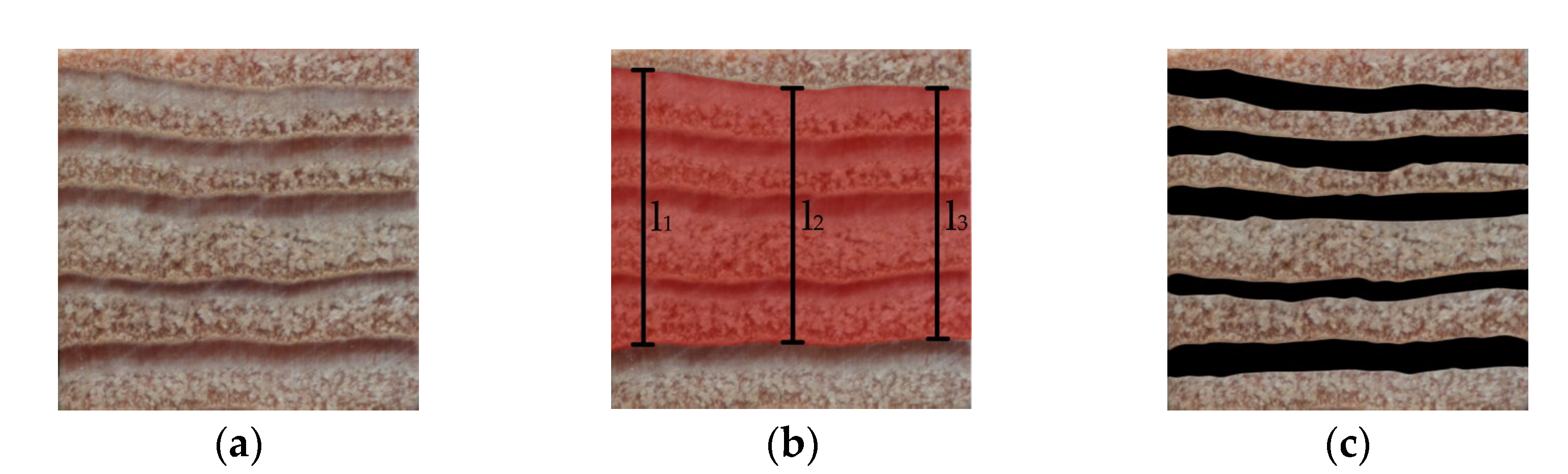 Forests 14 01451 g003 Forests 14 01451 g003