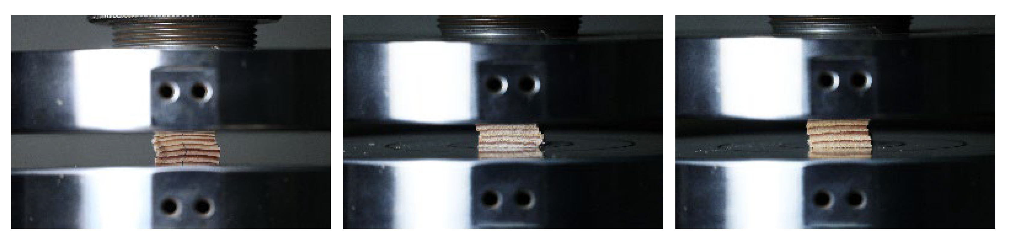 Forests 14 01451 g006 Forests 14 01451 g006